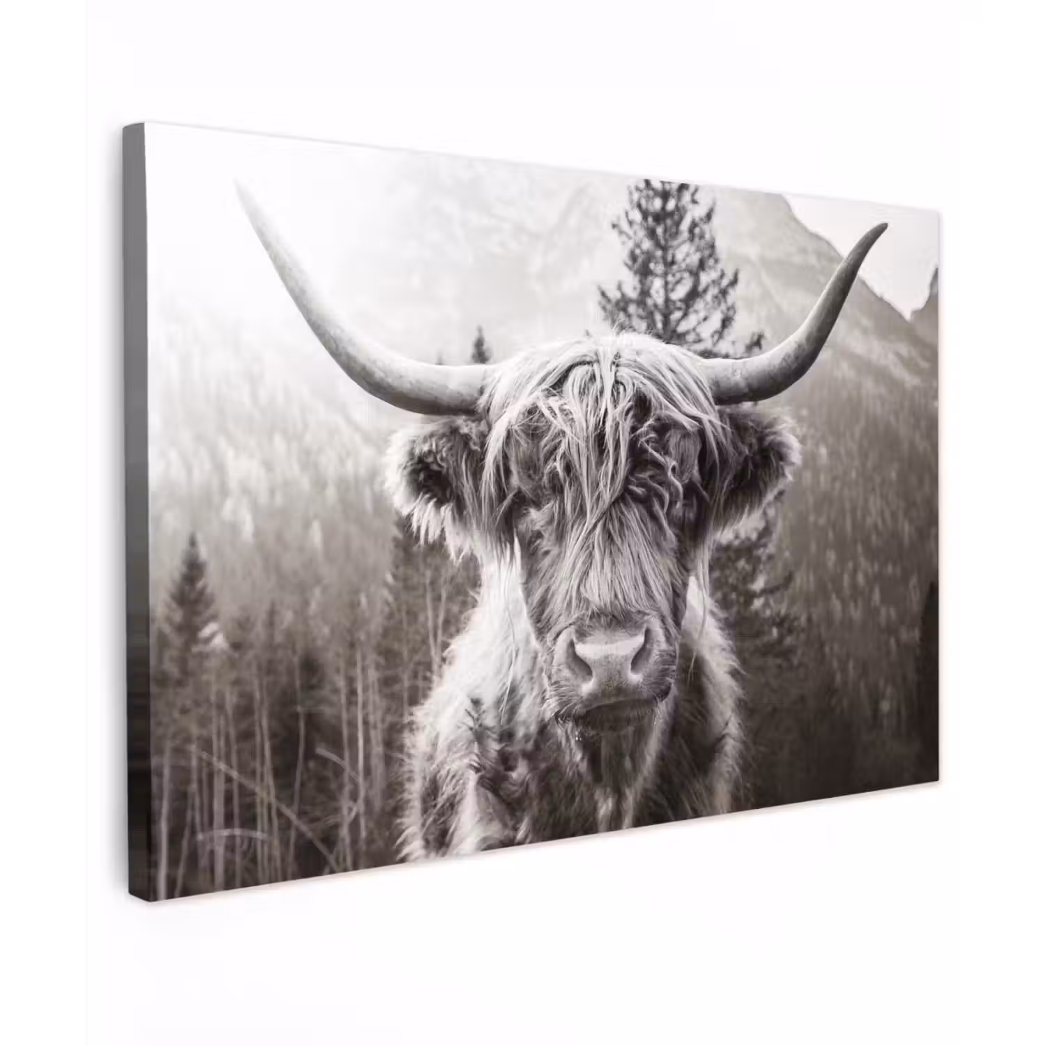 Schotse hooglander - Koe - Dieren - Zwart - Wit canvas 2cm klein -z3d