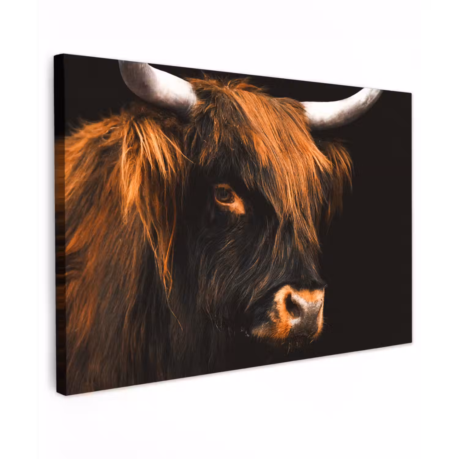 Schotse hooglander - Zwart - Koe - Hoorn - Dieren canvas 2cm klein -z3d