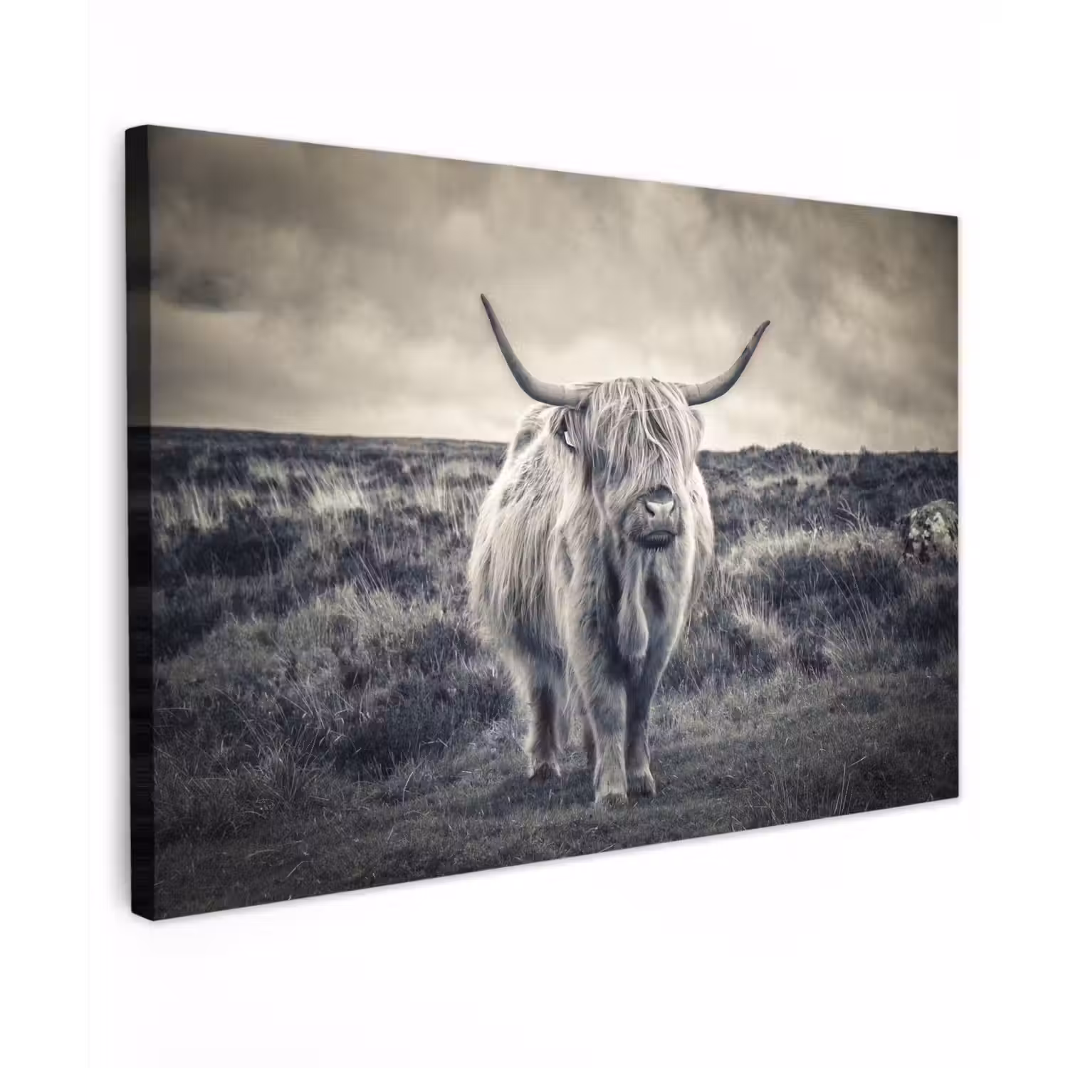Schotse hooglander - Dieren - Wolken - Koe - Natuur canvas 2cm klein -z3d