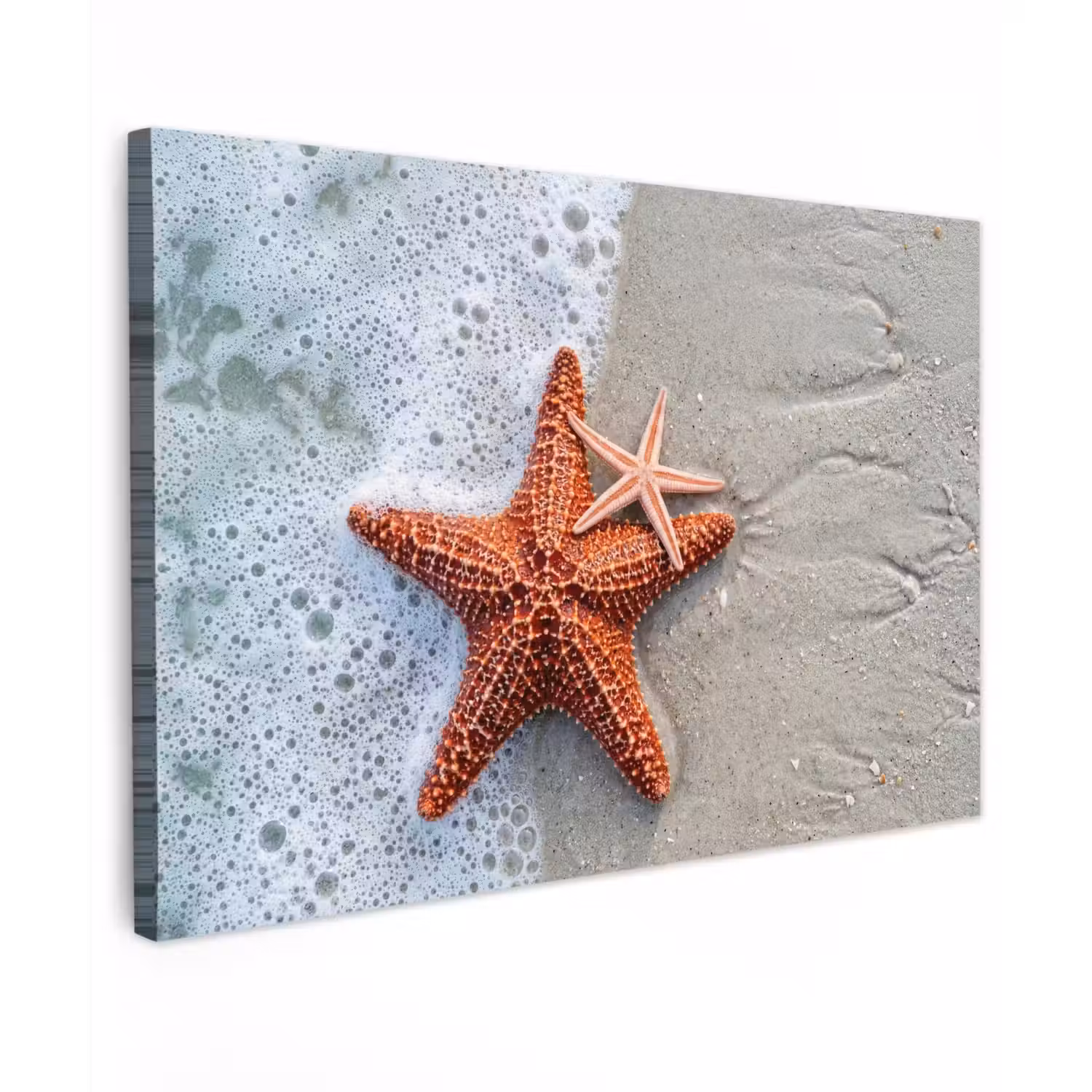 Zeester - Strand - Zee canvas 2cm klein -z3d