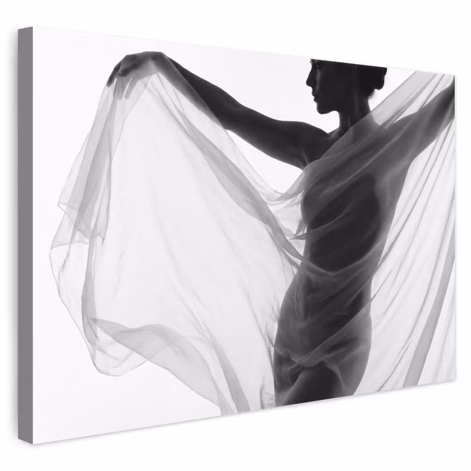 Silhouet - Sluier - Vormen - Zwart - Wit - Sensueel canvas 2cm klein -3d