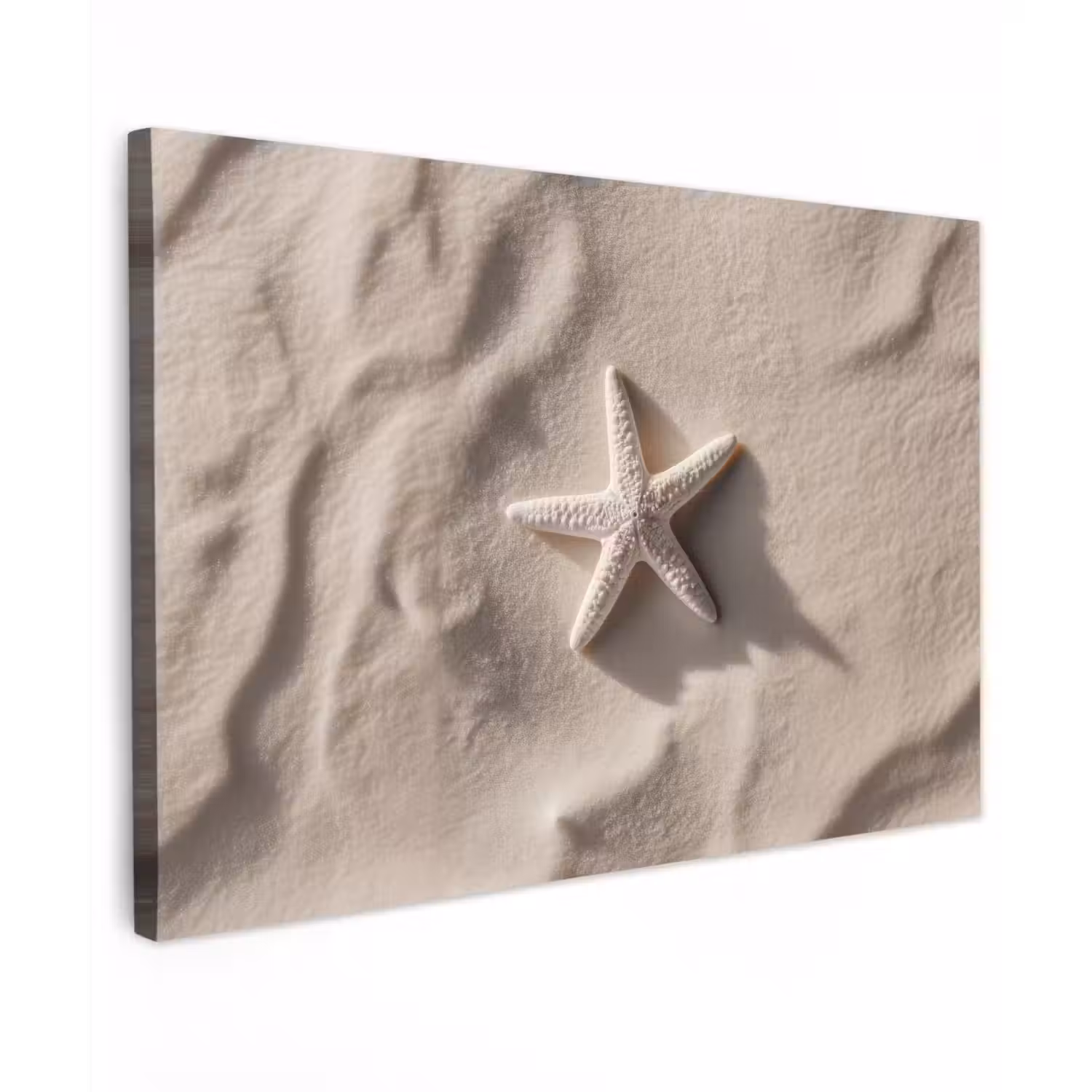 Strand - Zeester - Zand - Beige canvas 2cm klein -z3d