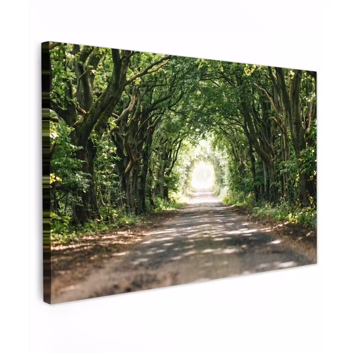 Weg - Bomen - Natuur - Groen canvas 2cm klein -z3d