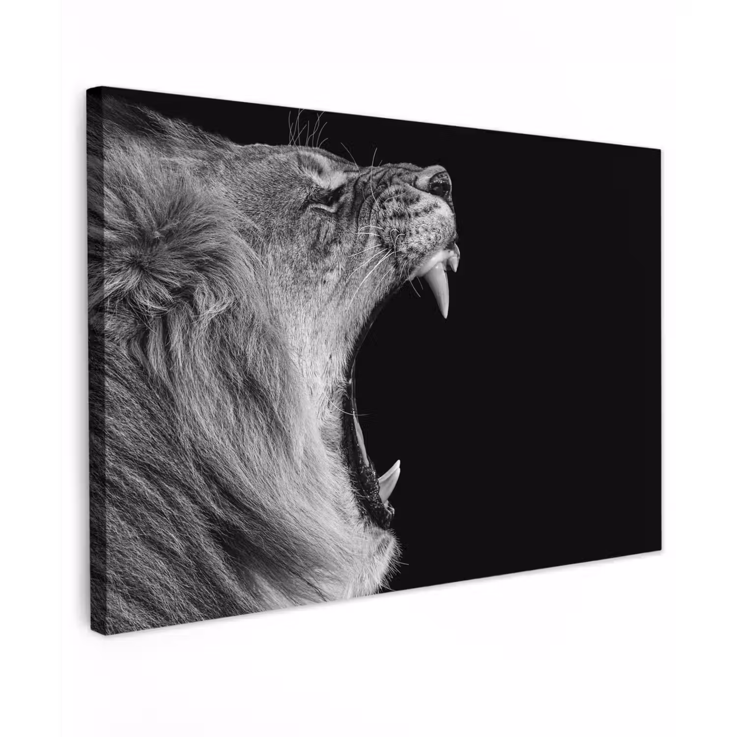 Dieren - Leeuw - Zwart - Wit - Portret canvas 2cm klein -z3d