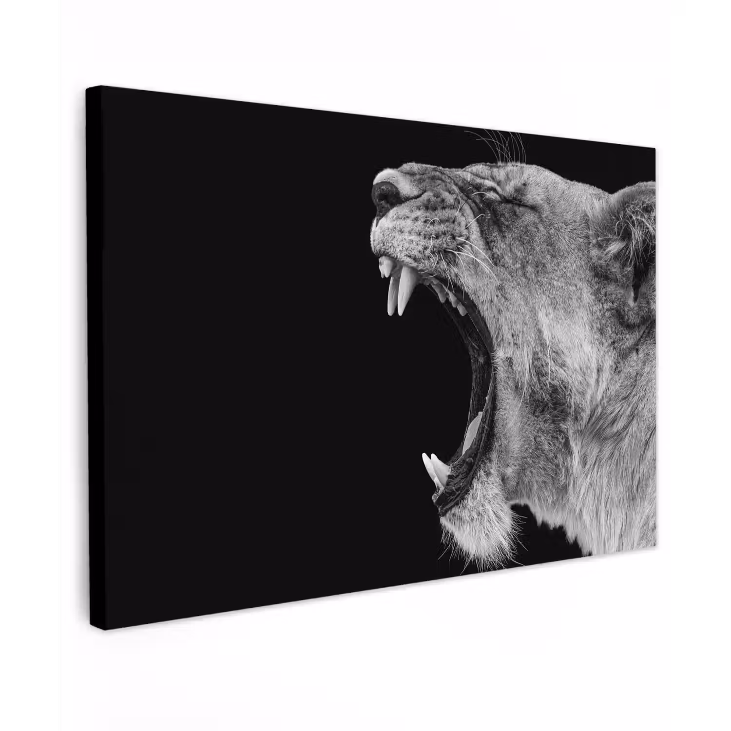 Dieren - Leeuw - Zwart - Wit - Portret canvas 2cm klein -z3d