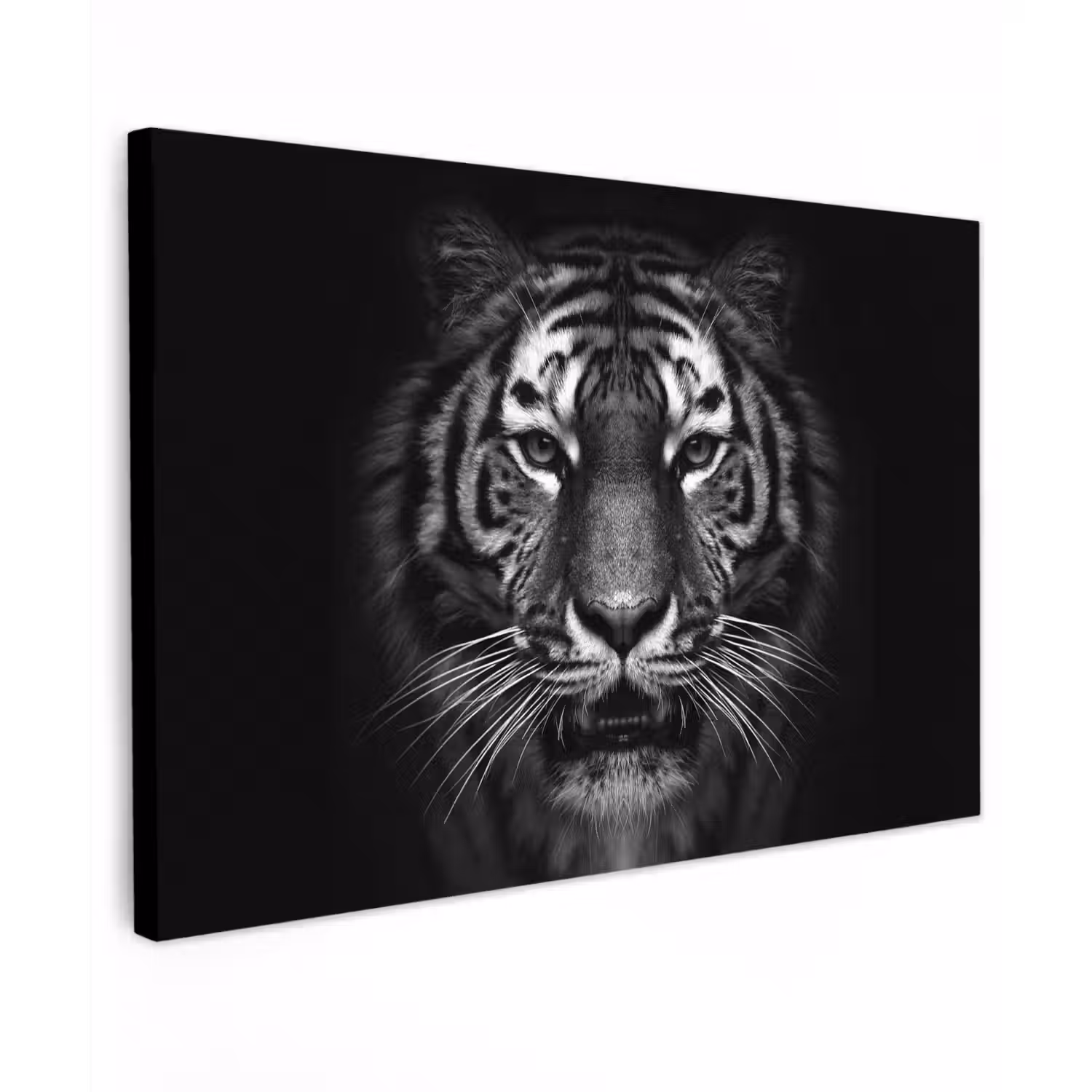 Tijger - Dieren - Zwart - Wit - Portret - Wild canvas 2cm klein -z3d