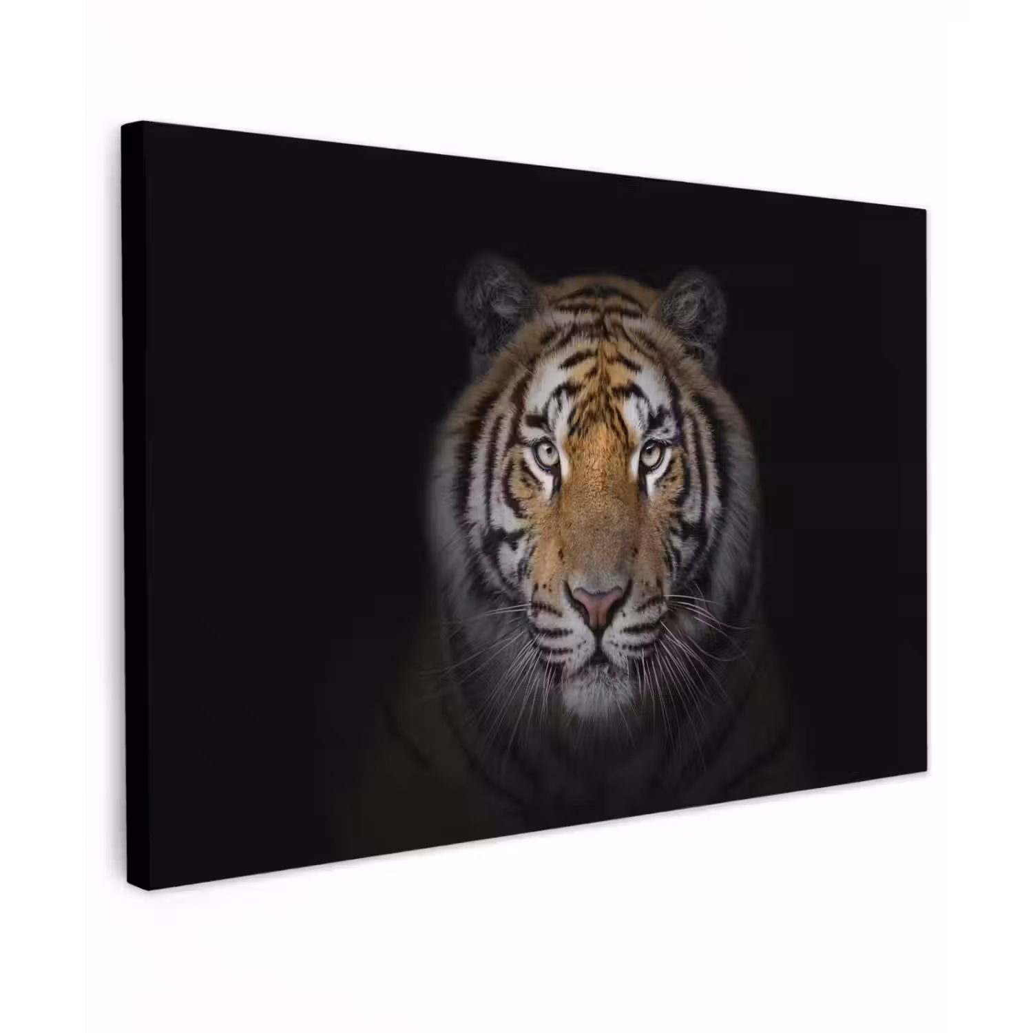 Tijger - Wilde dieren - Portret - Zwart - Dieren canvas 2cm klein -z3d