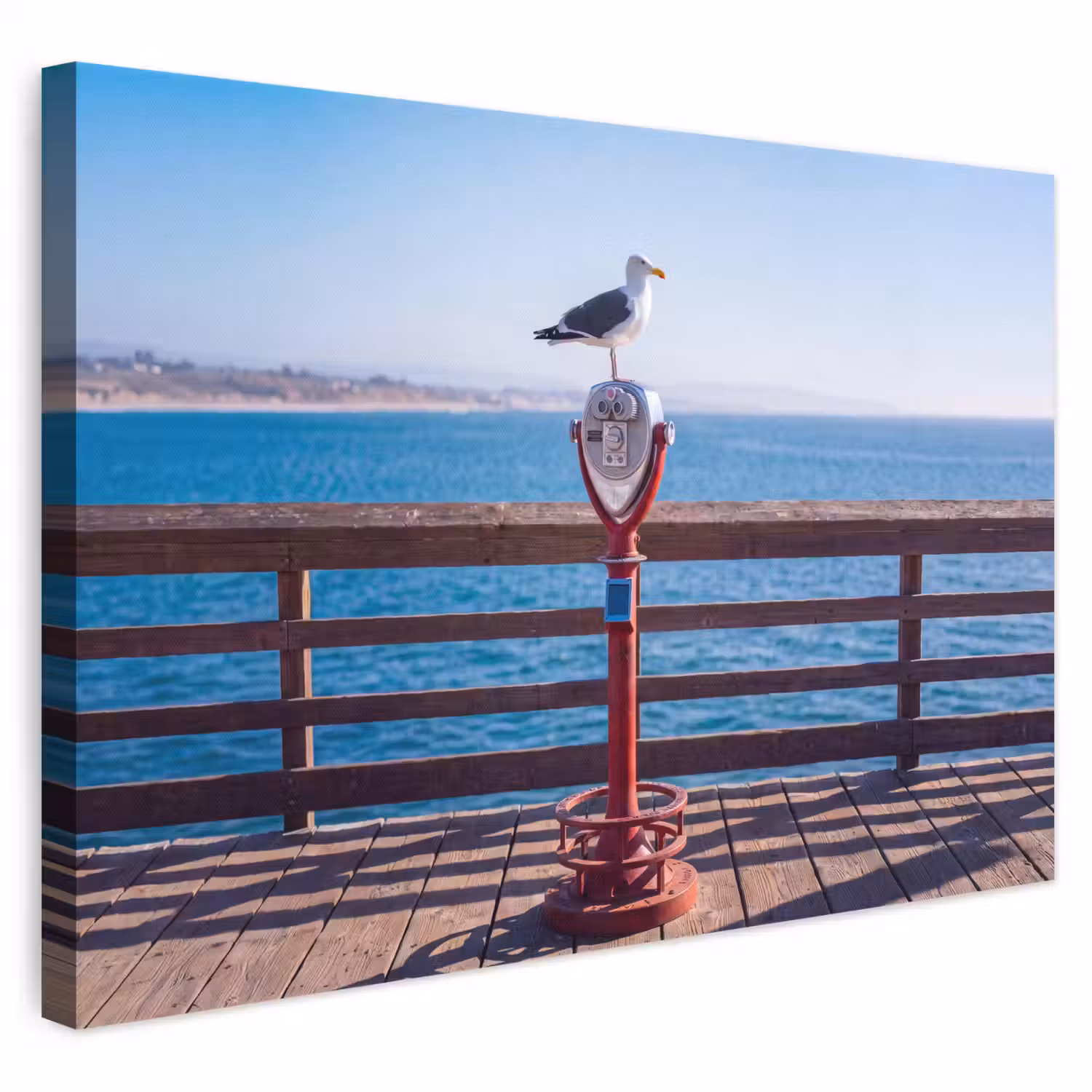 Vogel - Verrekijker - Kust - Zee - Blauw canvas 2cm klein -3d