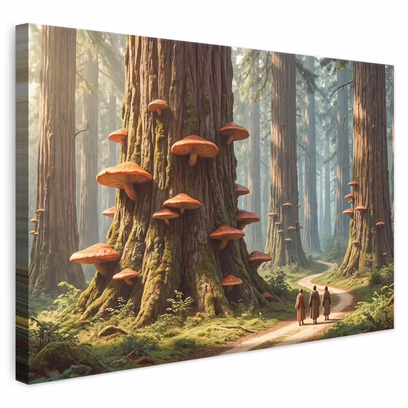Leinwandbild - Wald – Bäume – Natur - Bos - Bomen - Natuur canvas 2cm klein