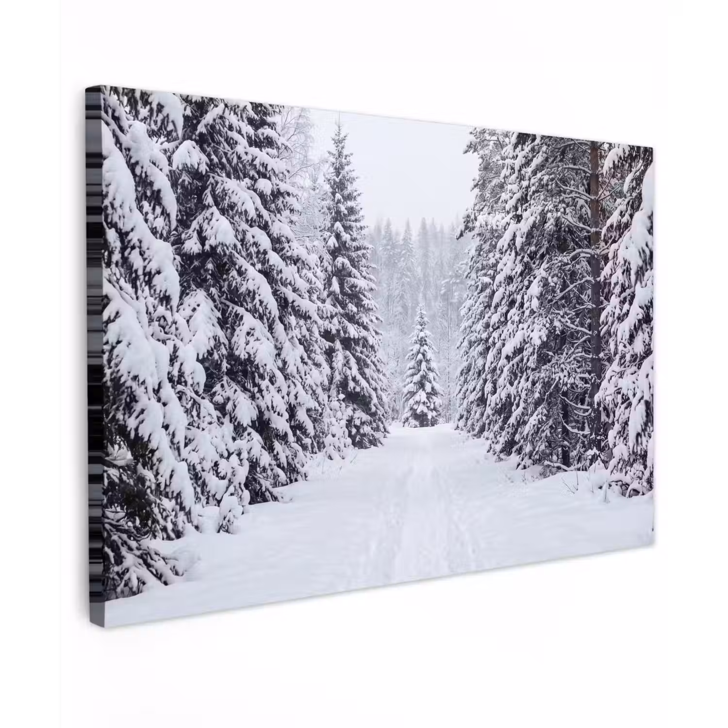 Bos - Winter - Sneeuw - Pad - Natuur canvas 2cm klein -z3d