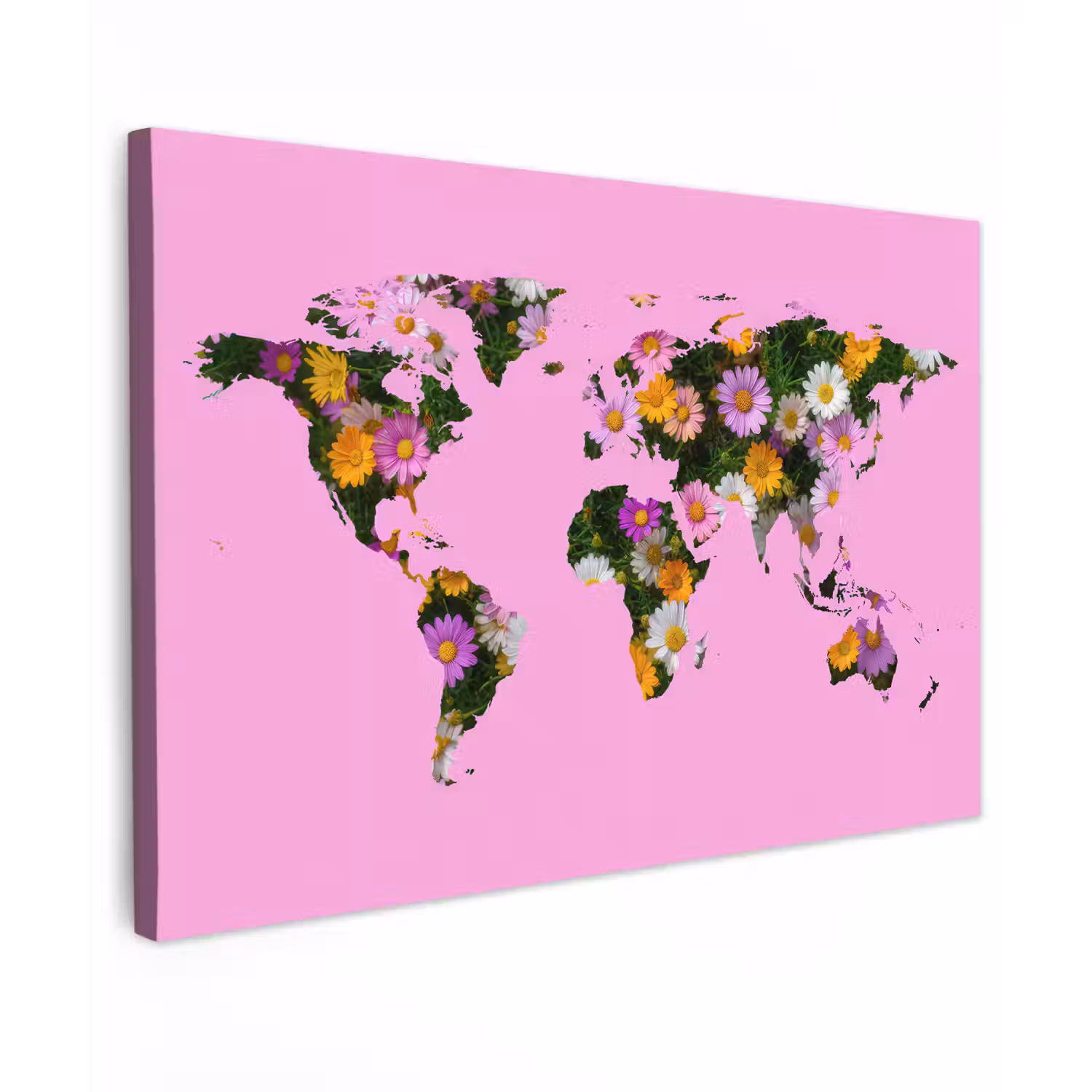 Wereldkaart - Roze - Madelief - Bloemen canvas 2cm klein -z3d