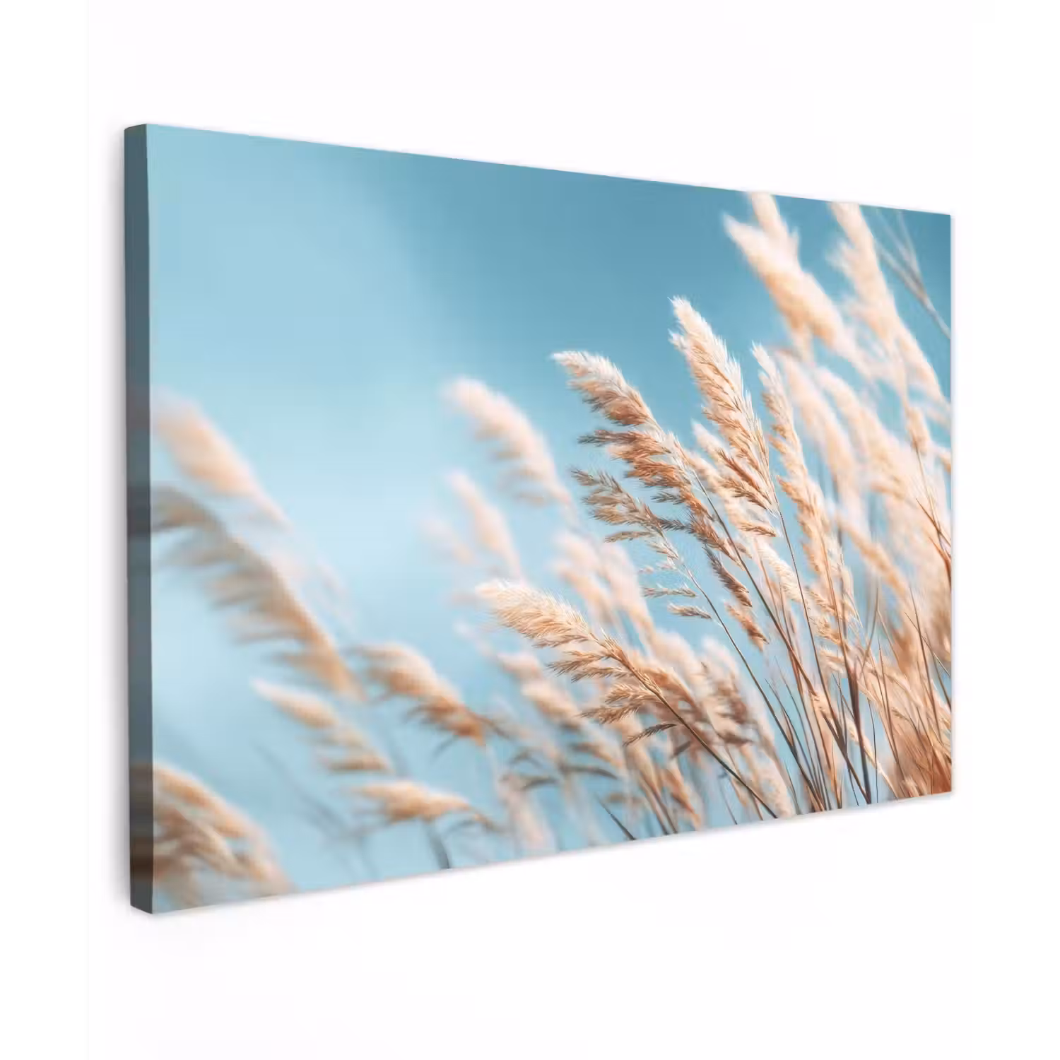 Siergras - Wind - Lichtbruin canvas 2cm klein -z3d