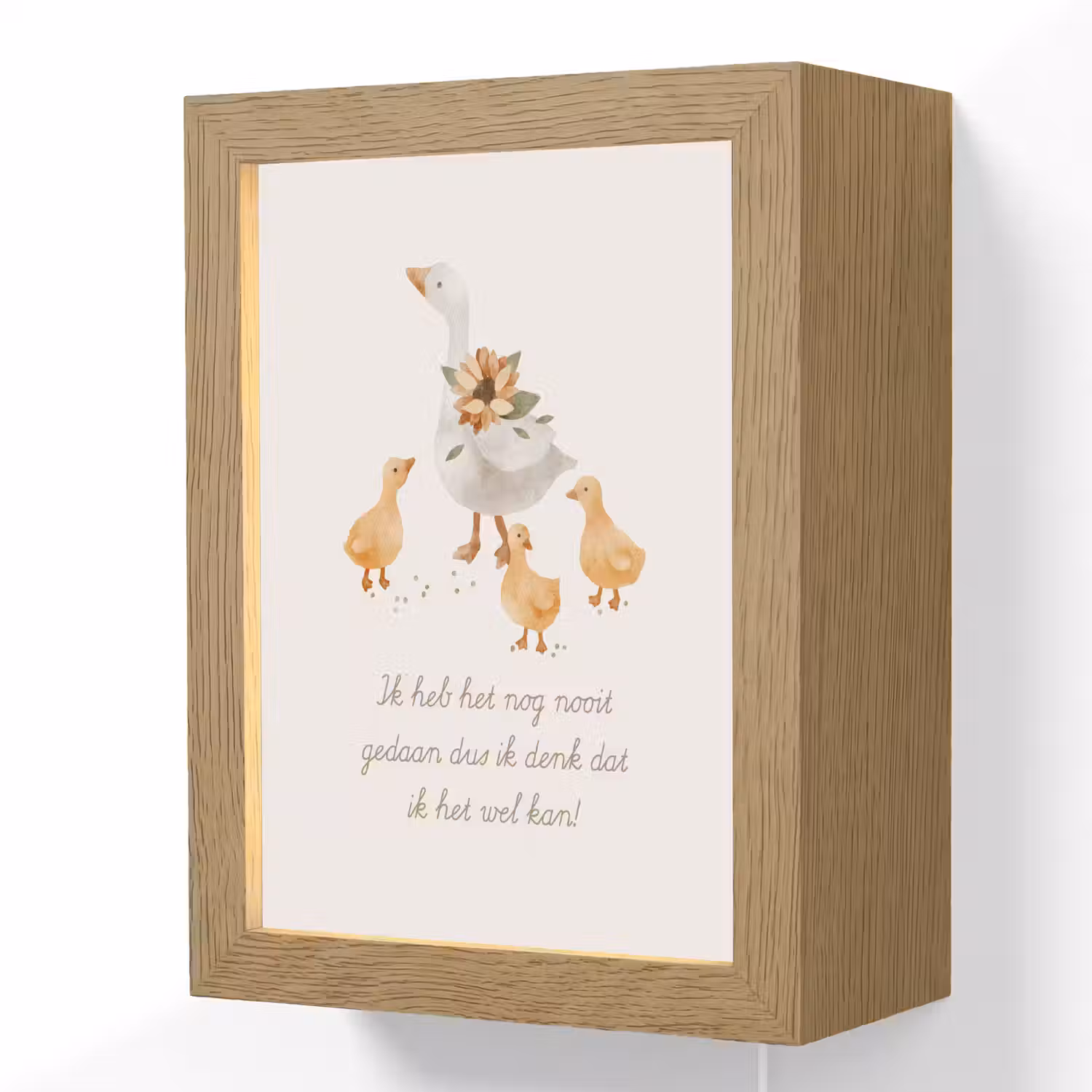 Boerderij dieren - Eend - Quote - 'Ik heb het nog nooit gedaan dus ik denk dat ik het wel kan!' Light Box met kabel (Wandlamp kind) klein -3d