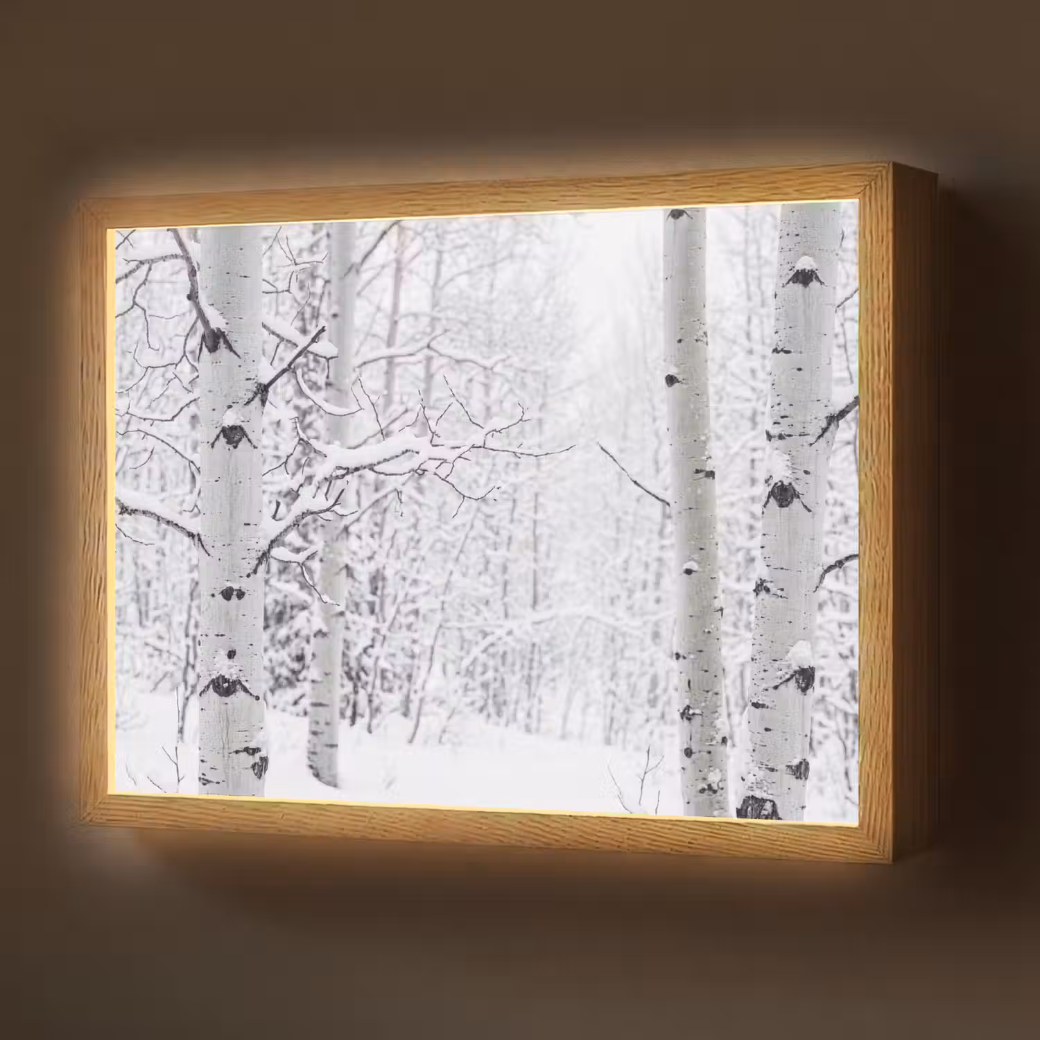 Berkenbomen - Sneeuw - Winter - Bos - Wit Light Box met batterij (Wandlamp) middel -z3d_website