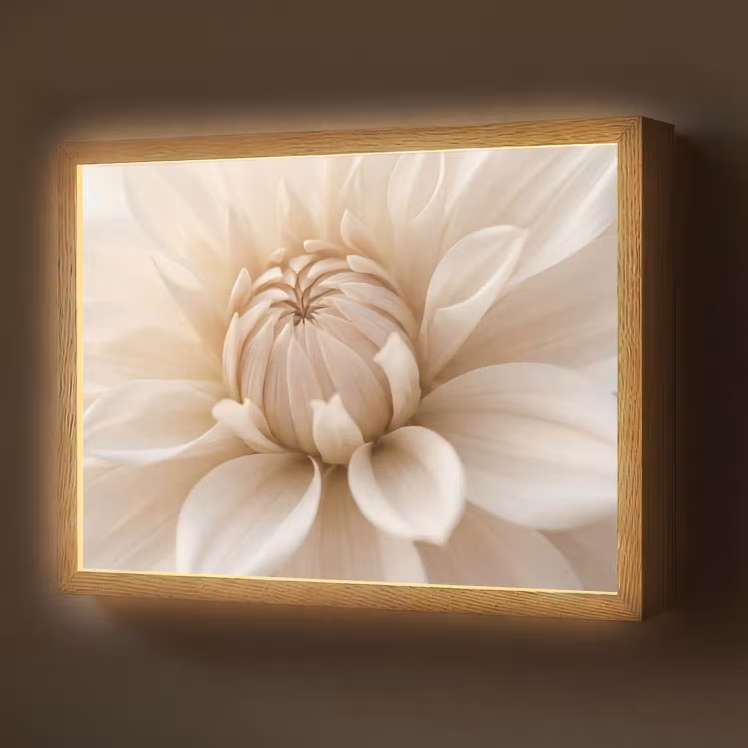 Bloem - Dahlia - Wit Light Box met batterij (Wandlamp) middel -z3d_website