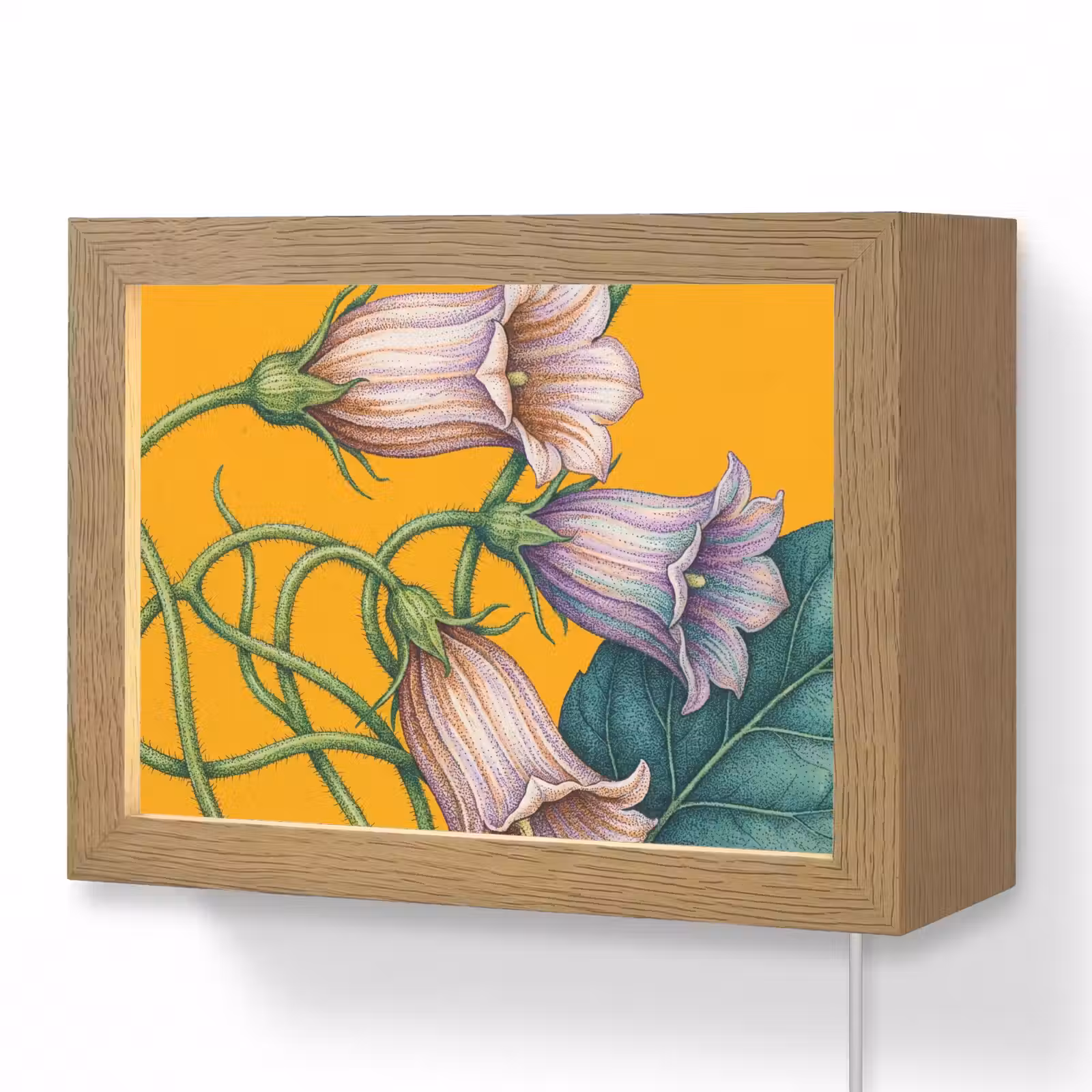 Lightbox - Wandleuchte - Blumen – Botanik – Gelb - Bloemen - Botanisch - Geel Light Box met kabel (Wandlamp) klein