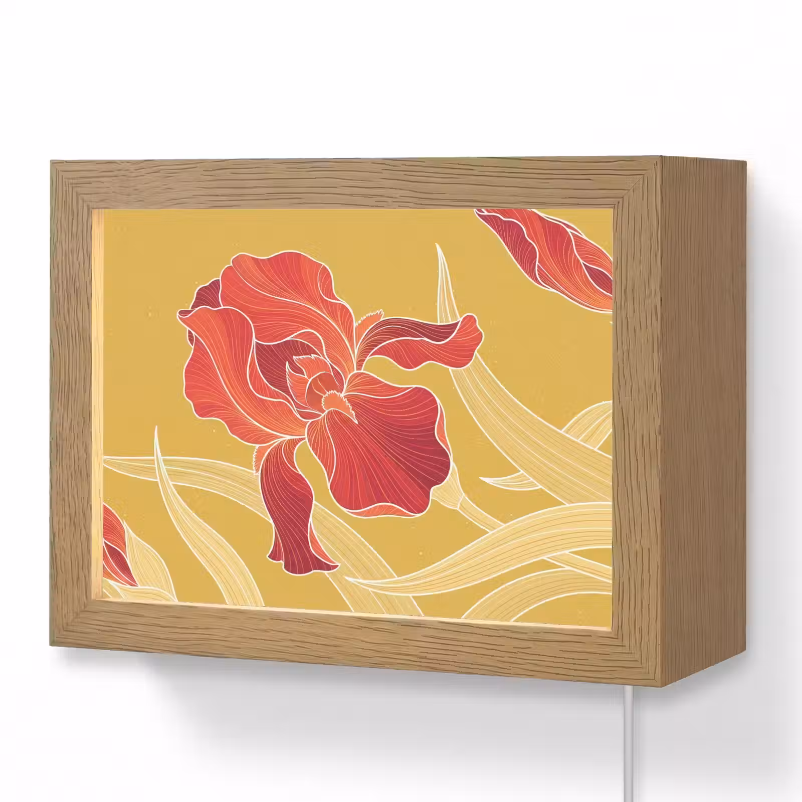 Lightbox - Wandleuchte - Blumen – Illustration – Rot - Bloemen - Illustratie - Rood Light Box met kabel (Wandlamp) klein
