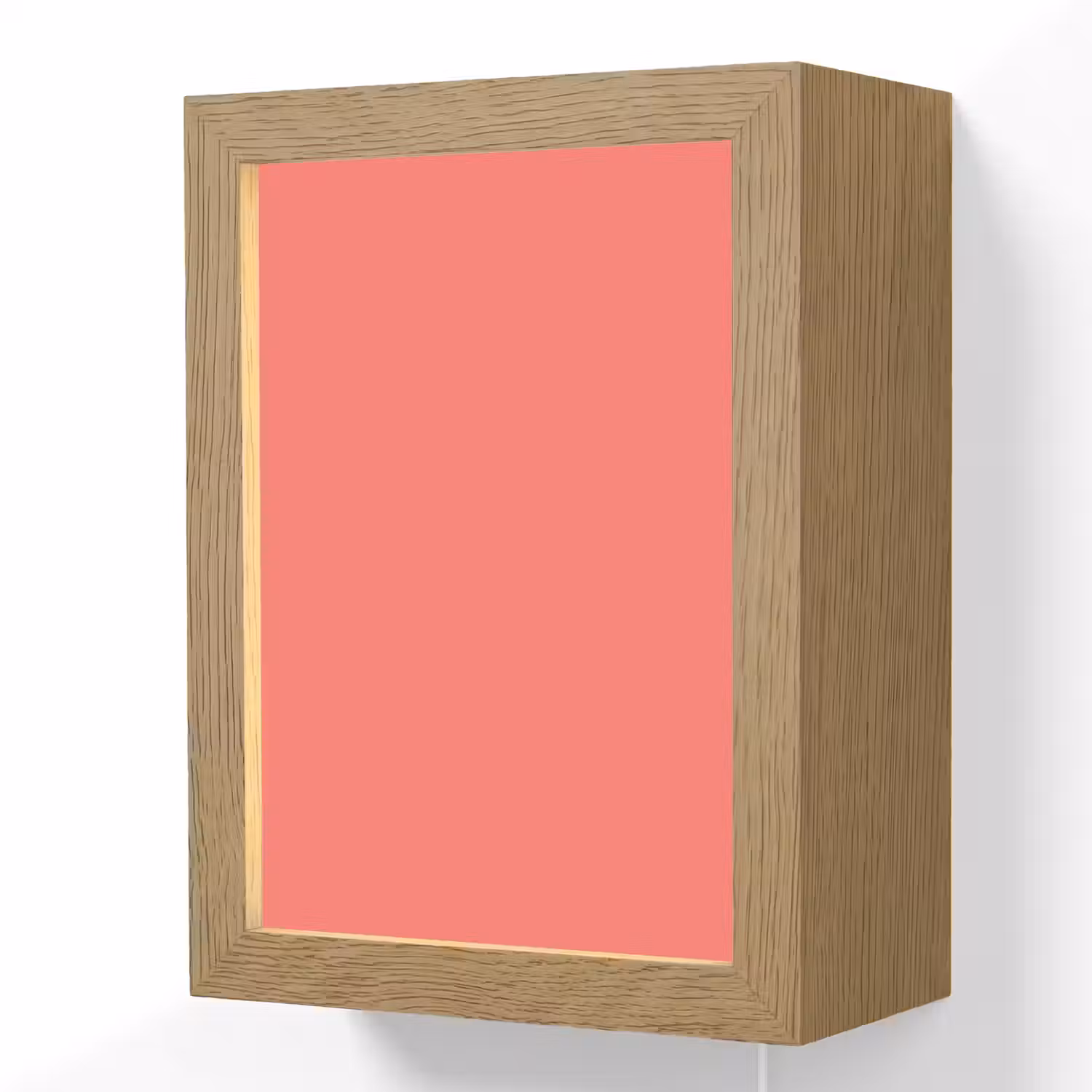 Coral - Punch - Koraal Light Box met kabel (Wandlamp) klein 929 -3d