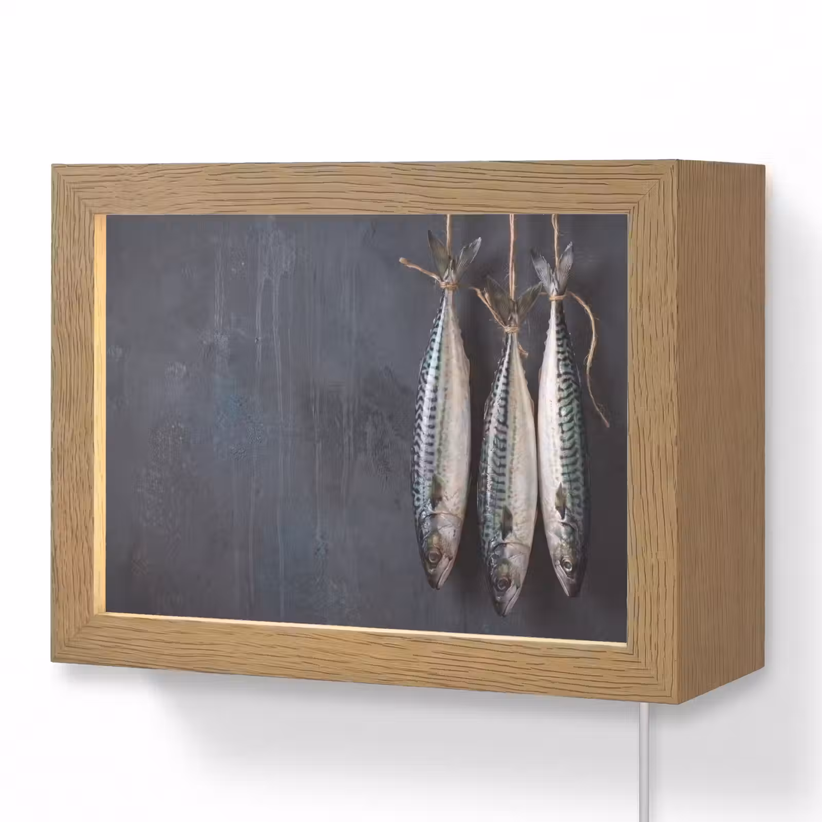 Lightbox - Wandleuchte - Drei Fische – Seil - Drie vissen - Touw Light Box met kabel (Wandlamp) klein