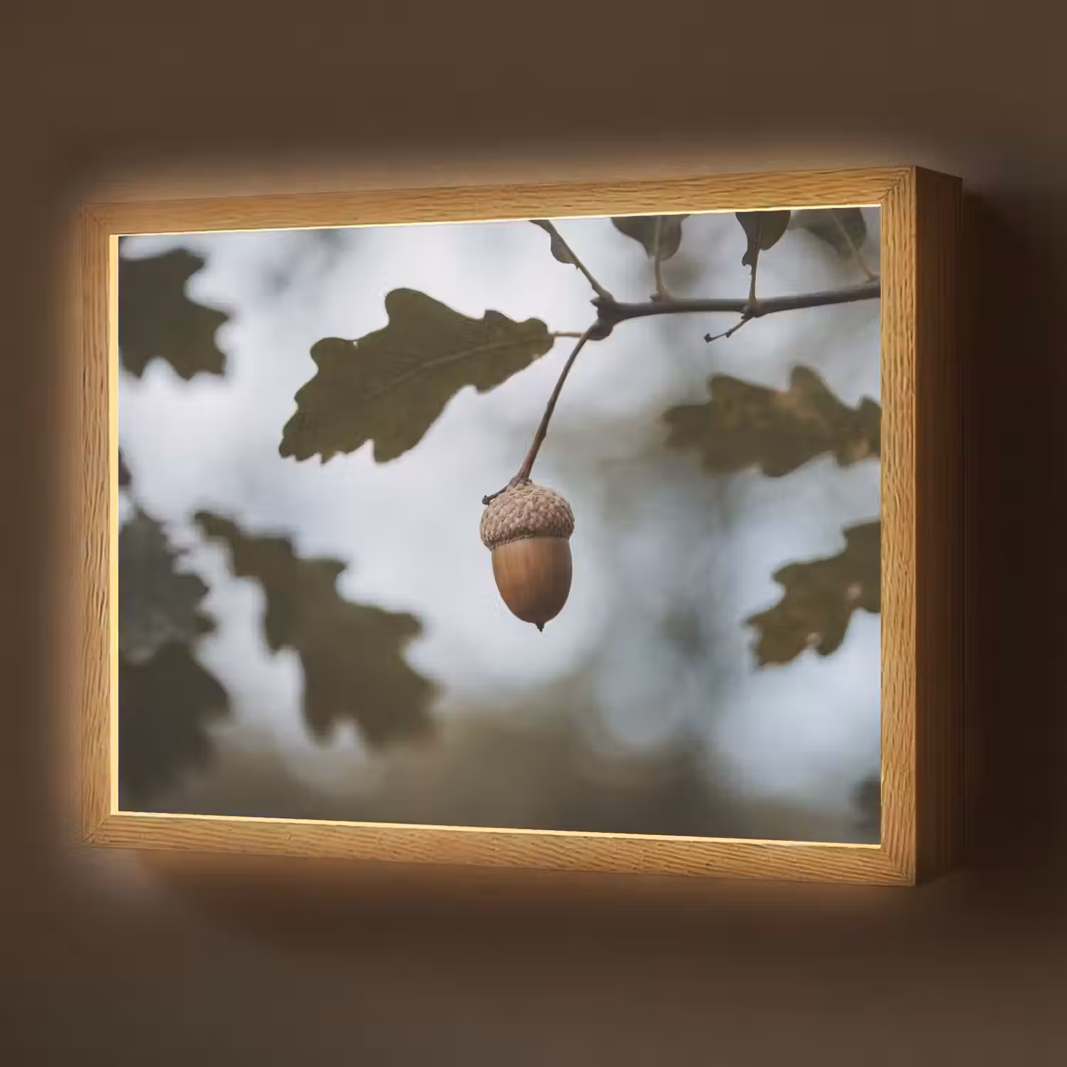 Eikel - Eikenblad - Bos - Herfst - Natuur Light Box met batterij (Wandlamp) middel -z3d_website