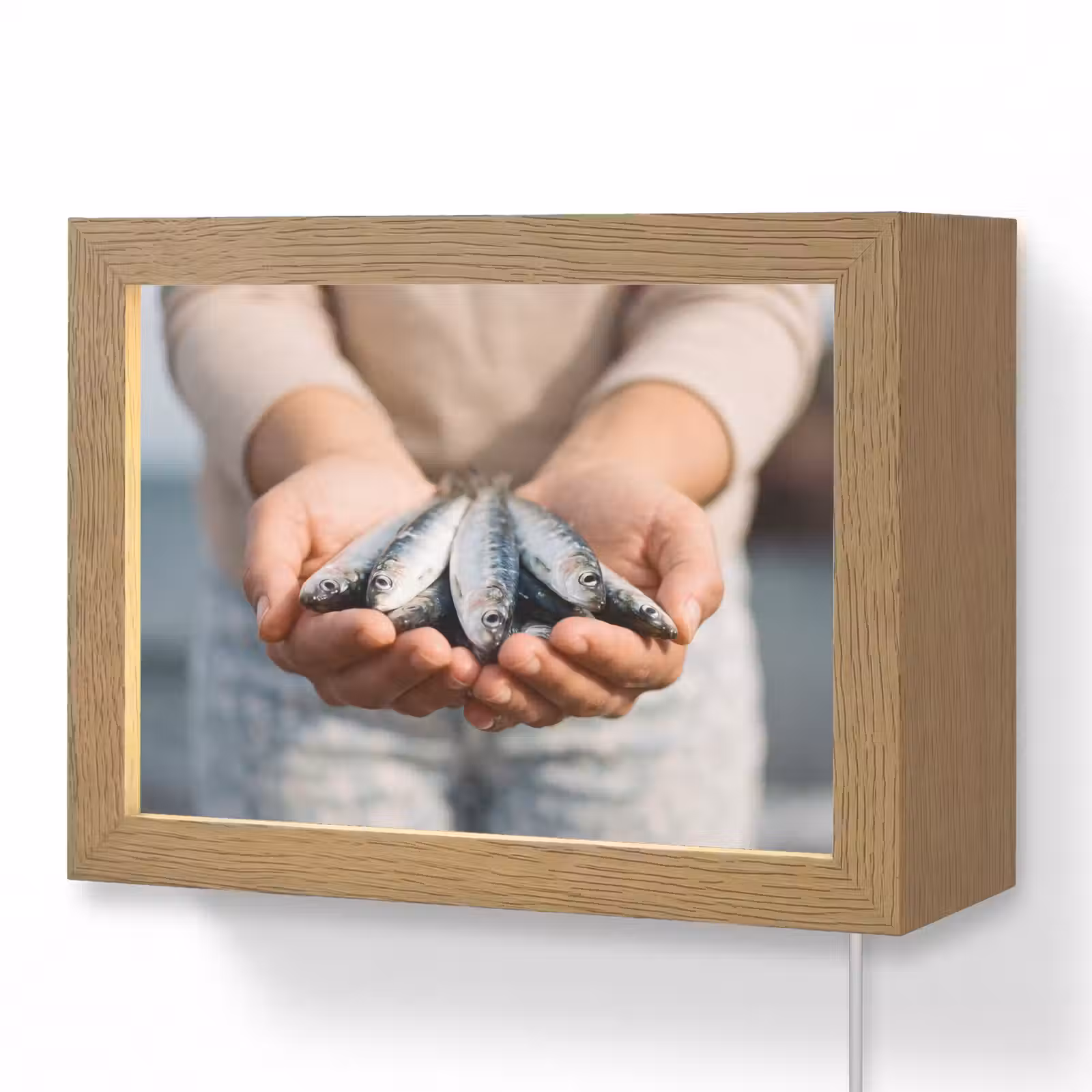 Lightbox - Wandleuchte - Fisch – Hände – Natur - Vis - Handen - Natuur Light Box met kabel (Wandlamp) klein