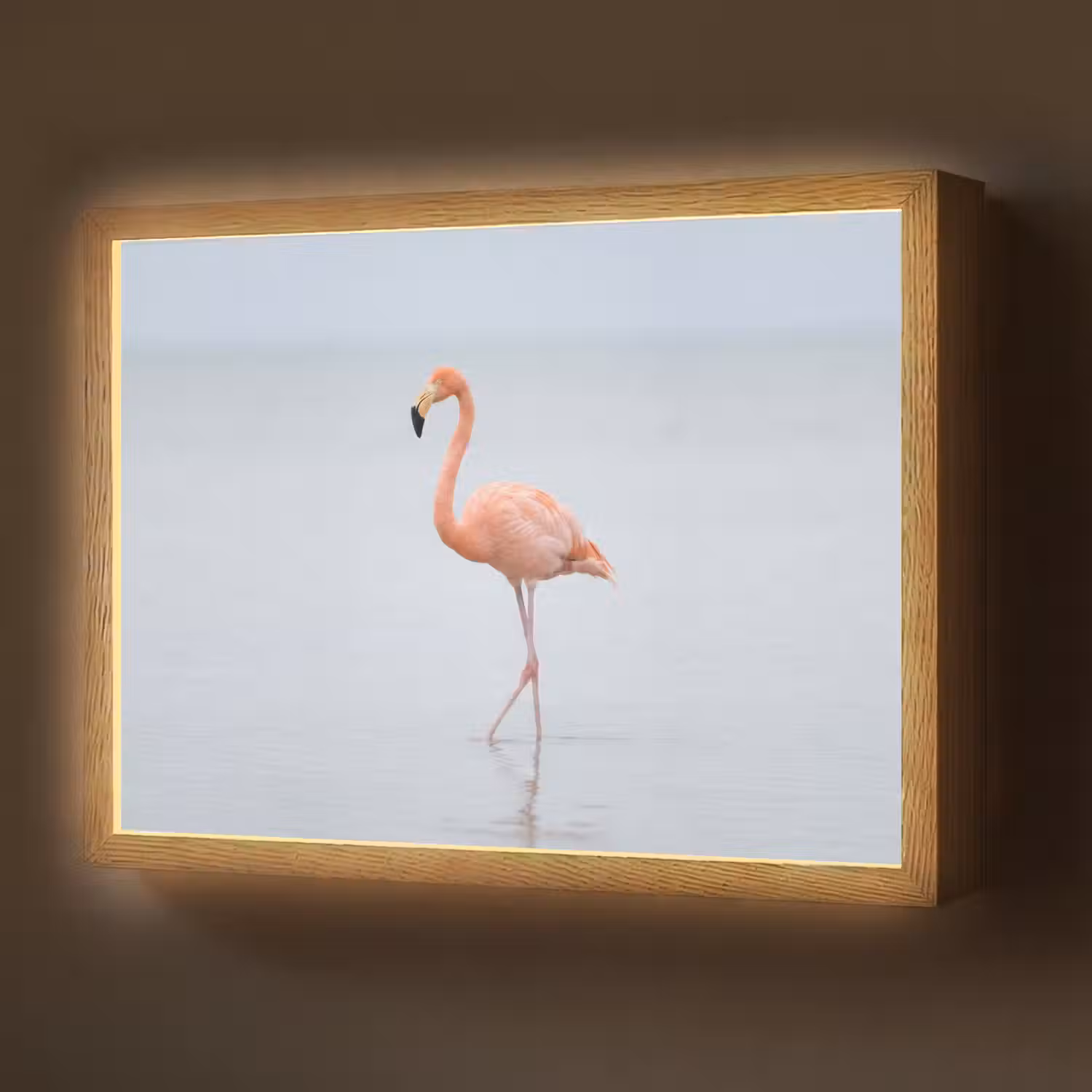 Flamingo - Zee - Roze Light Box met batterij (Wandlamp) middel -z3d_website
