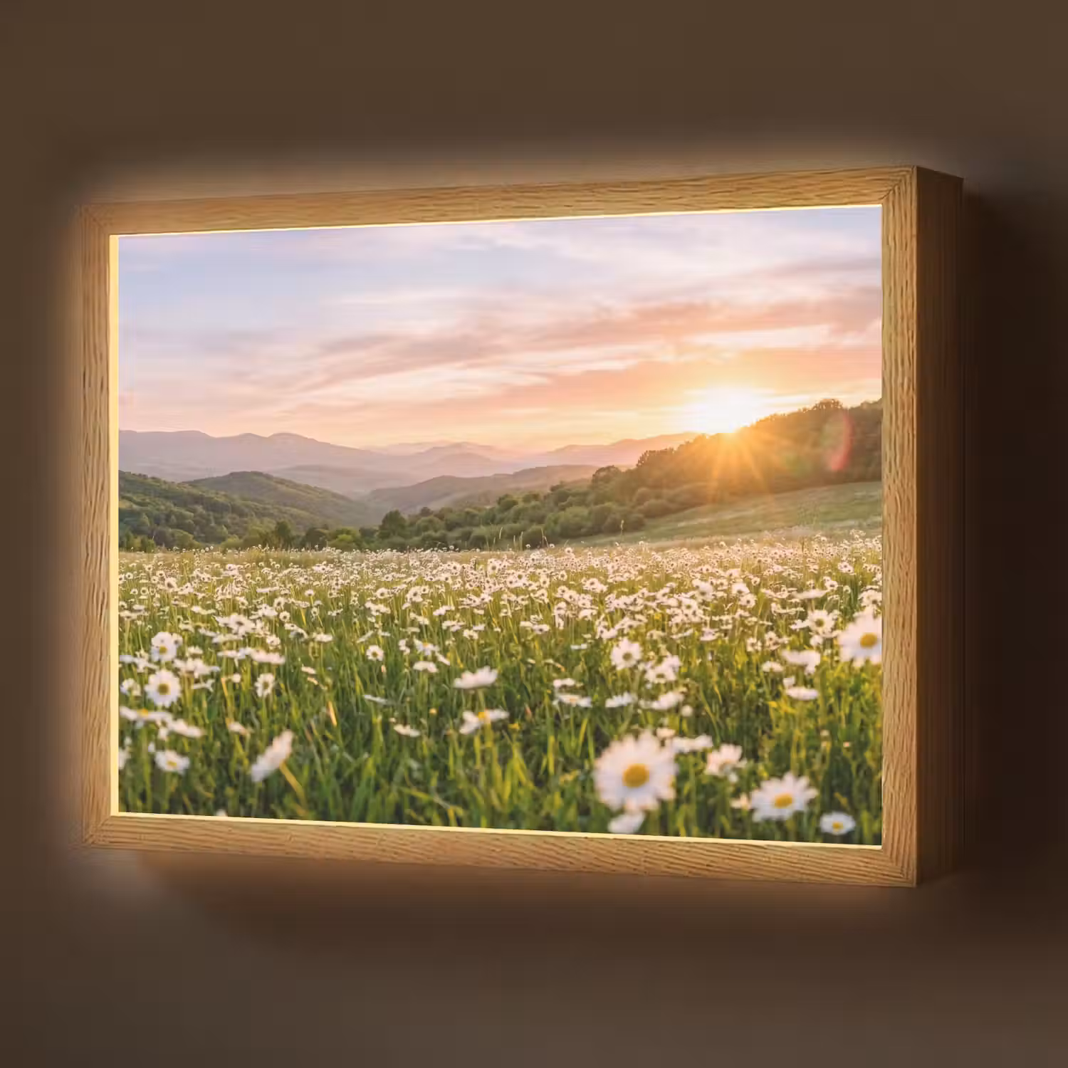 Madelief - Veld - Heuvels - Groen Light Box met batterij (Wandlamp) middel -z3d_website