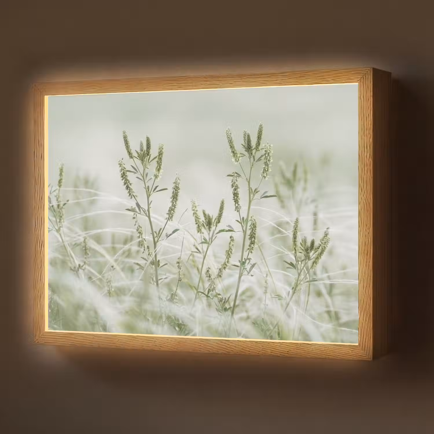 Grassen - Minimalistisch - Groen Light Box met batterij (Wandlamp) middel -z3d_website