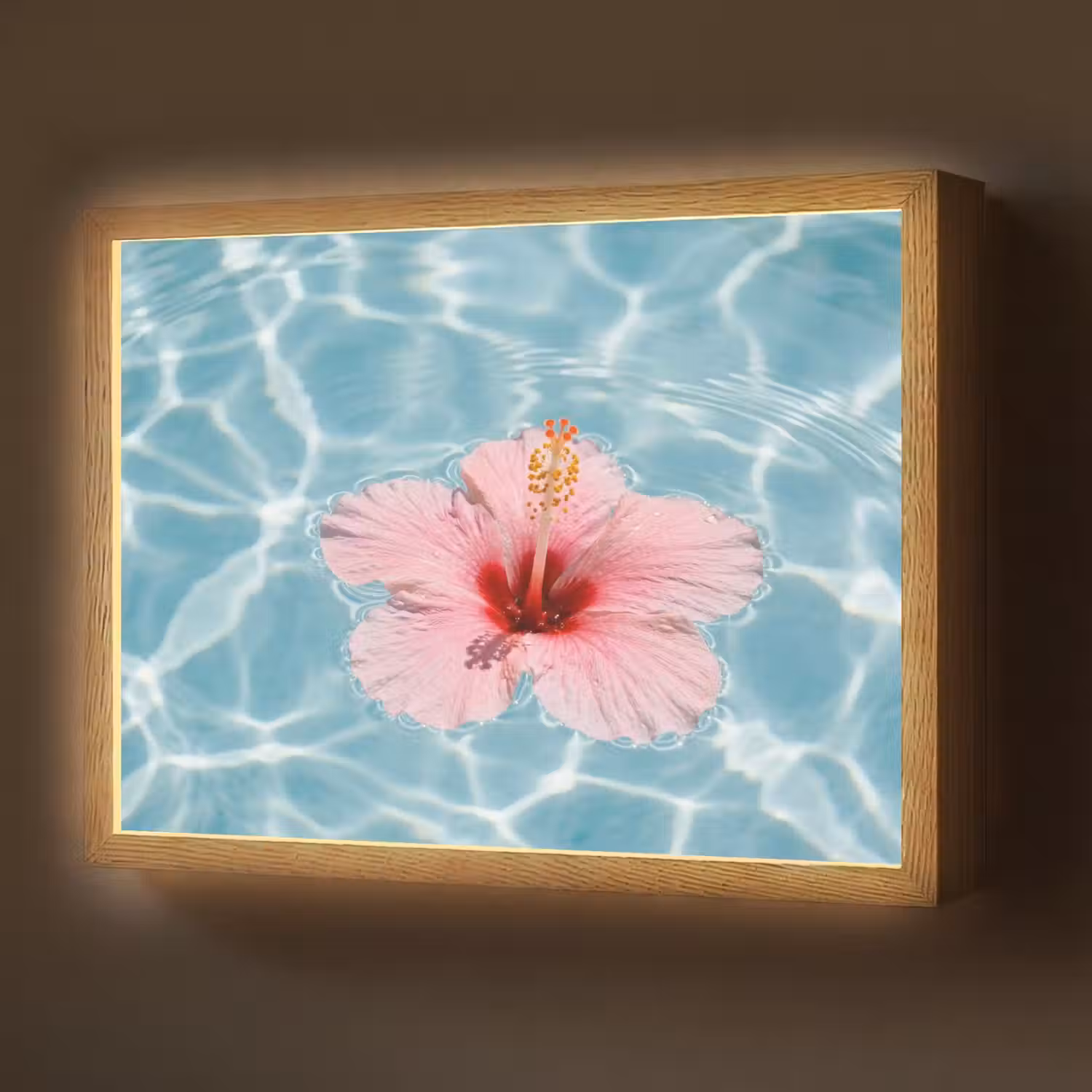 Hibiscus - Water - Roze Light Box met batterij (Wandlamp) middel -z3d_website