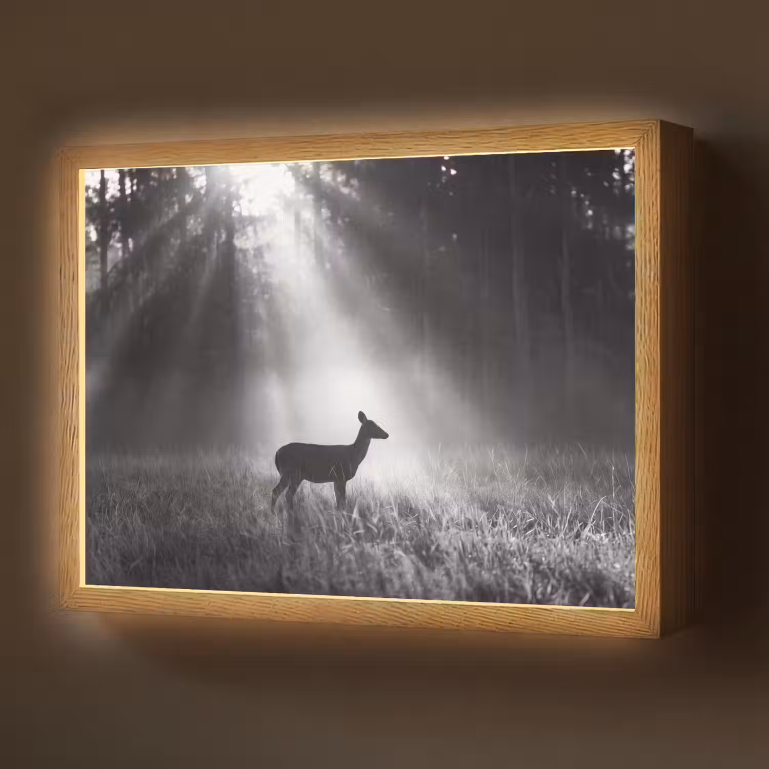 Hert - Bos - Zonnestralen - Zwart-wit - Natuur Light Box met batterij (Wandlamp) middel -z3d_website