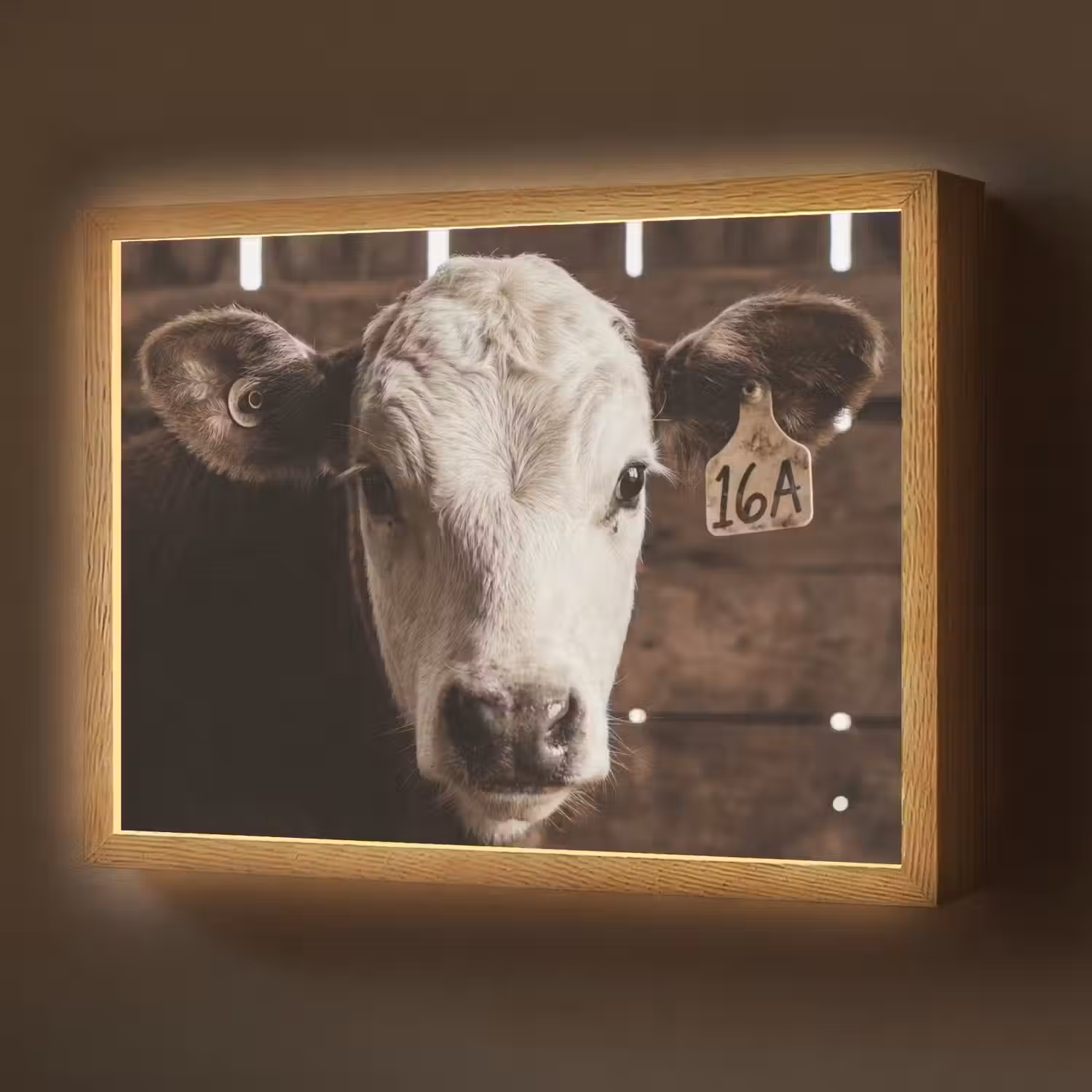 Kalf - Oormerk - Houten stal Light Box met batterij (Wandlamp) middel -z3d_website