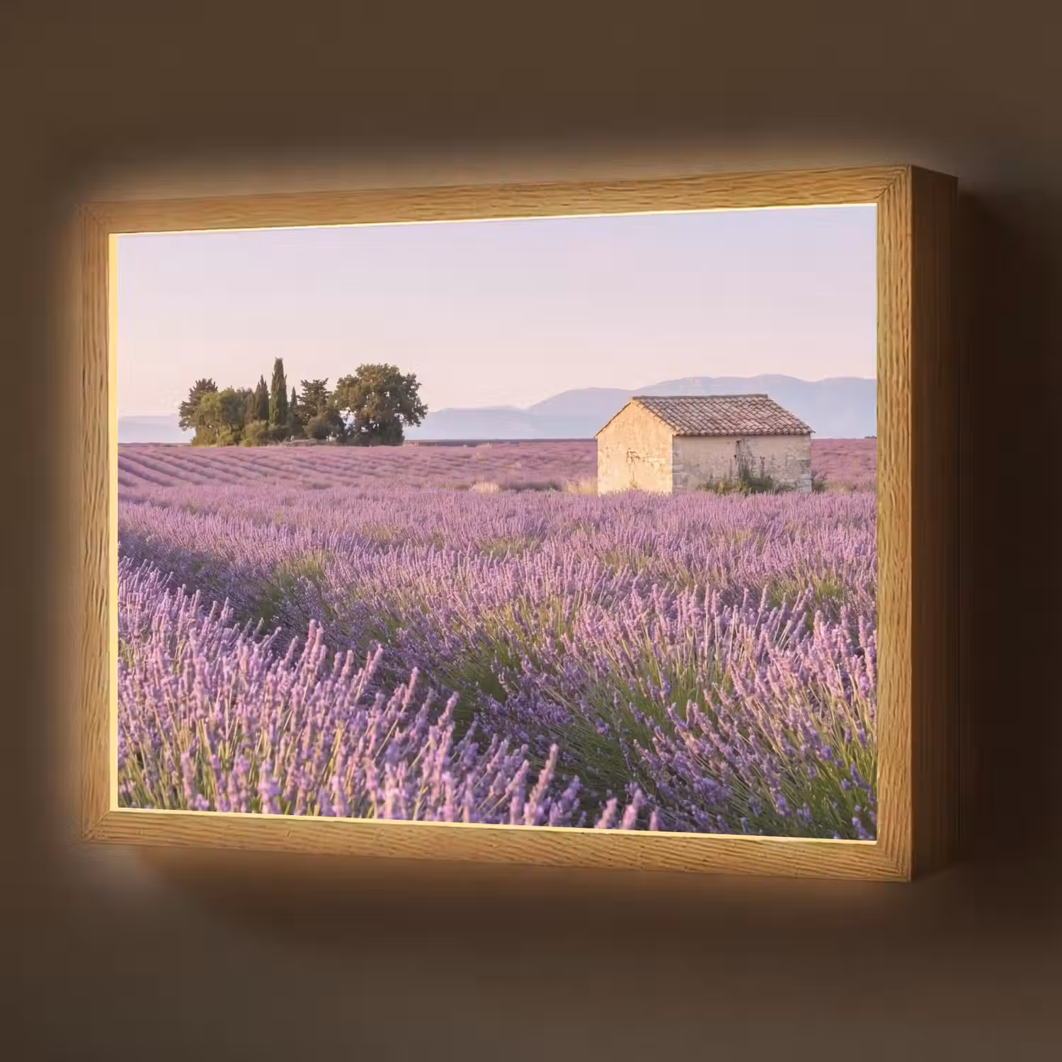 Lavendel - Landschap - Sereen - Paars Light Box met batterij (Wandlamp) middel -z3d_website