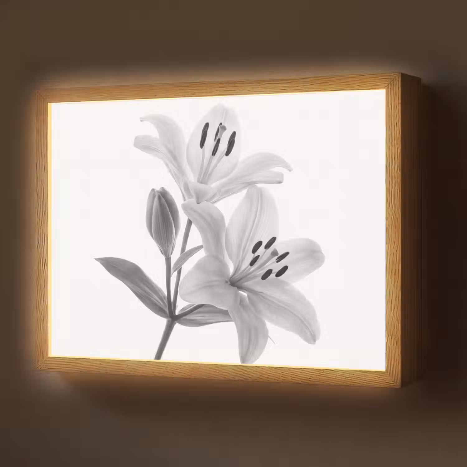Lelies - Elegant - Zwart - Wit Light Box met batterij (Wandlamp) middel -z3d_website