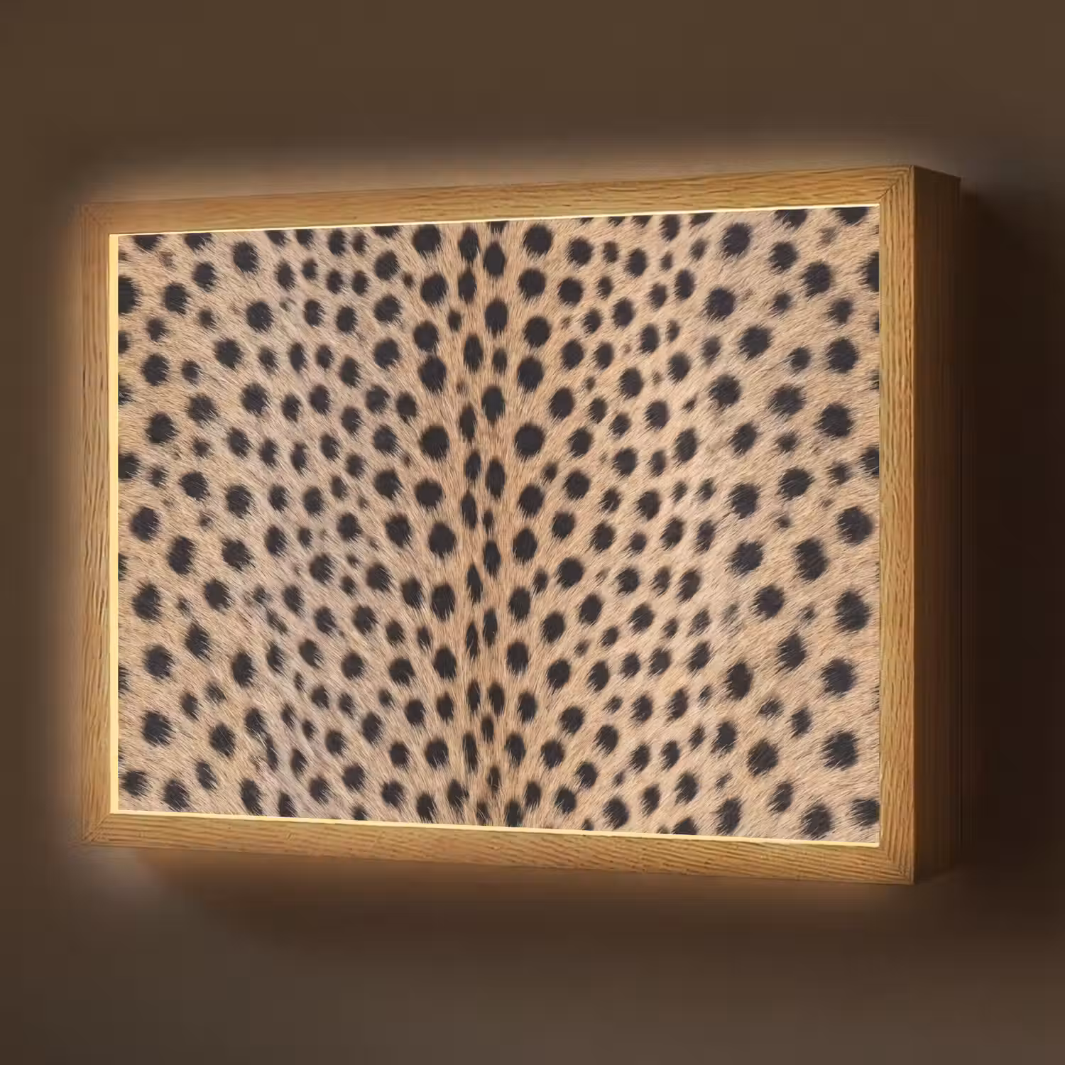 Vacht - Jachtluipaard - Zwart - Wit Light Box met batterij (Wandlamp) middel -z3d_website