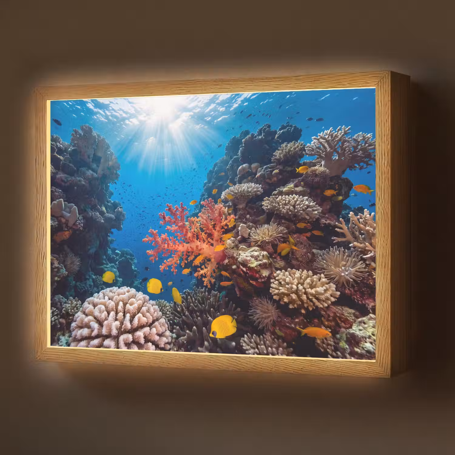 Zee - Koraalrif - Natuur - Levendig - Blauw Light Box met batterij (Wandlamp) middel -z3d_website