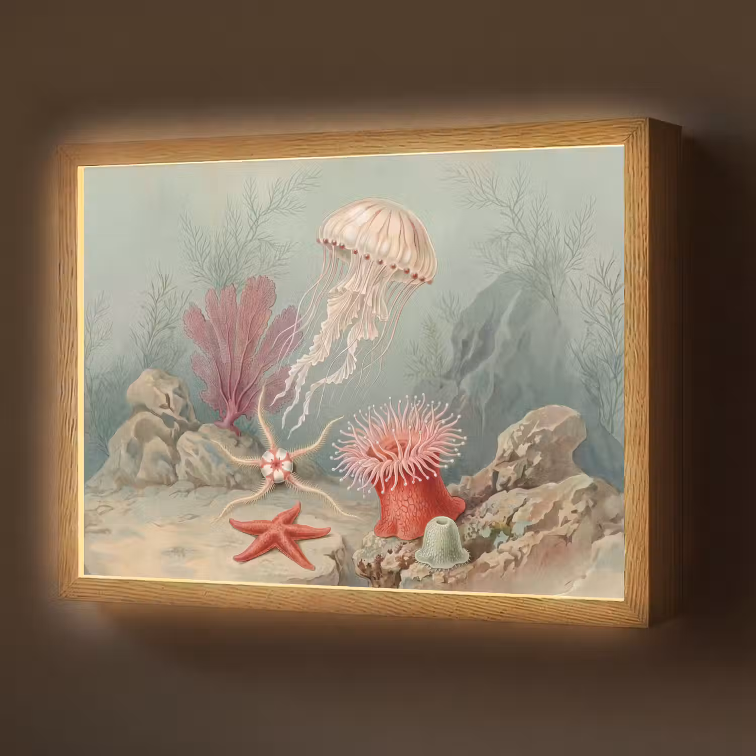 Zeeleven - Kwal - Onderwater - Illustratie - Beige Light Box met batterij (Wandlamp) middel -z3d_website