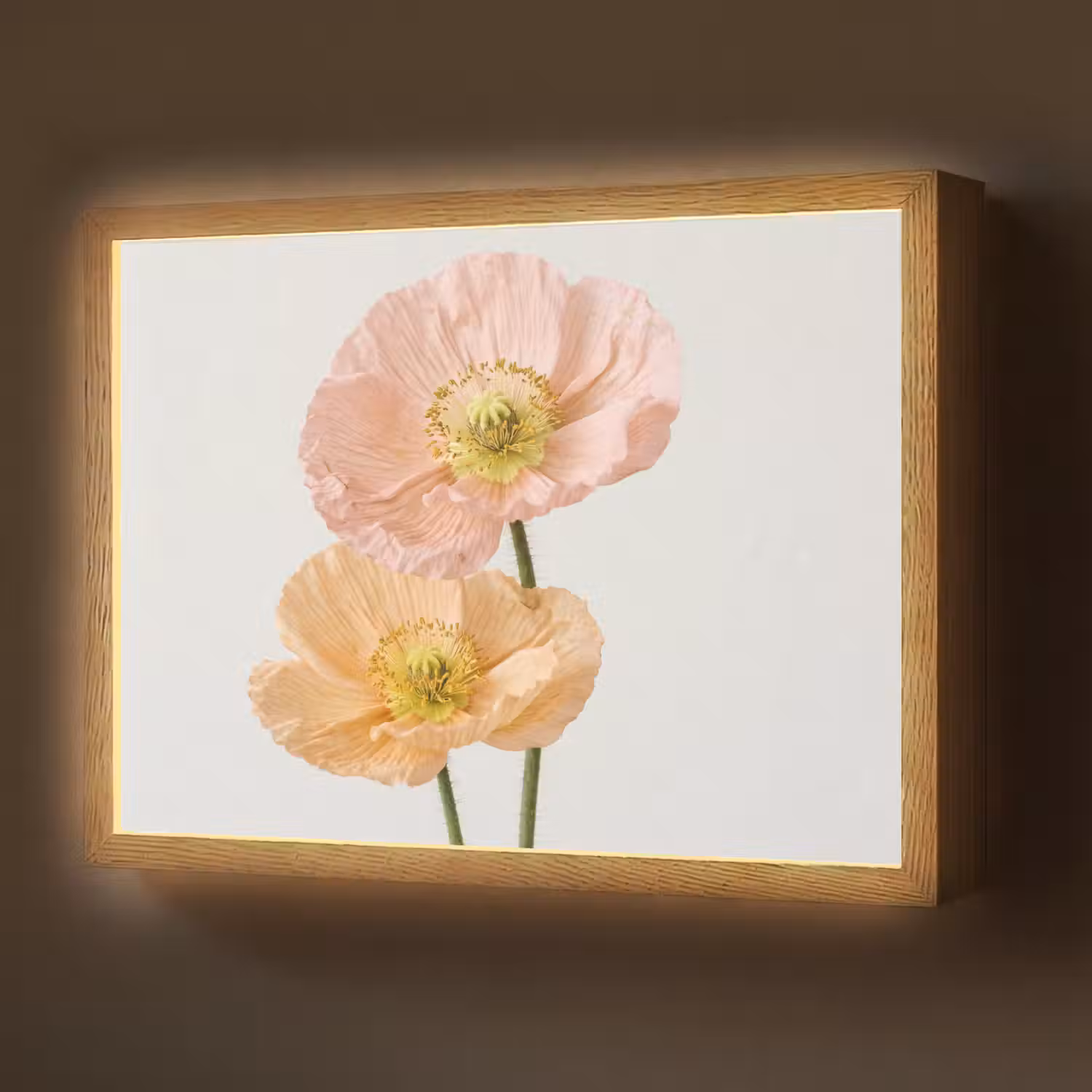 Papavers - Botanisch - Roze Light Box met batterij (Wandlamp) middel -z3d_website