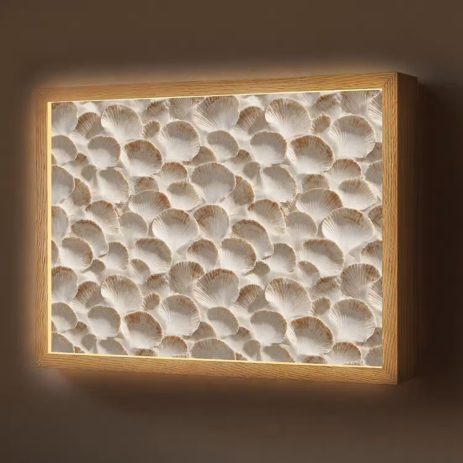 Schelpen - Waaiervorm - Wit Light Box met batterij (Wandlamp) middel 907 -z3d_website