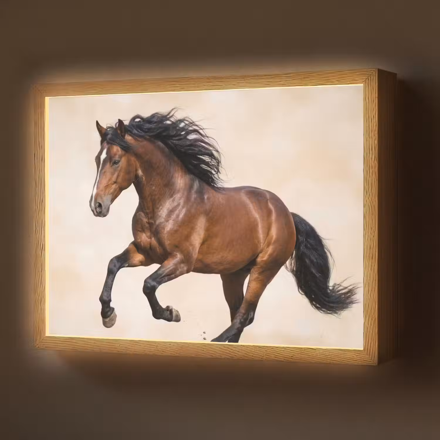Paard - Galop - Energie Light Box met batterij (Wandlamp) middel -z3d_website