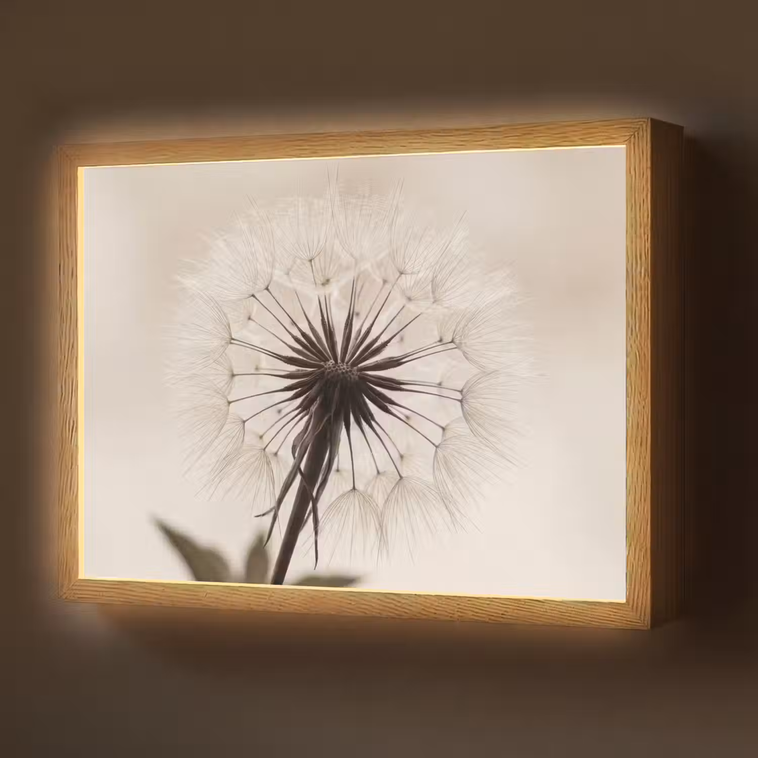 Paardenbloem - Minimalistisch - Wit Light Box met batterij (Wandlamp) middel -z3d_website