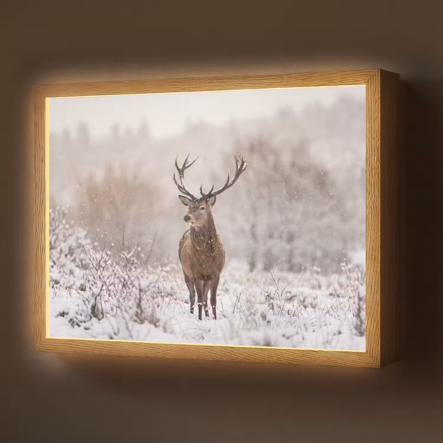 Edelhert - Bos - Sneeuw - Winter - Majestueus Light Box met batterij (Wandlamp) middel -z3d_website