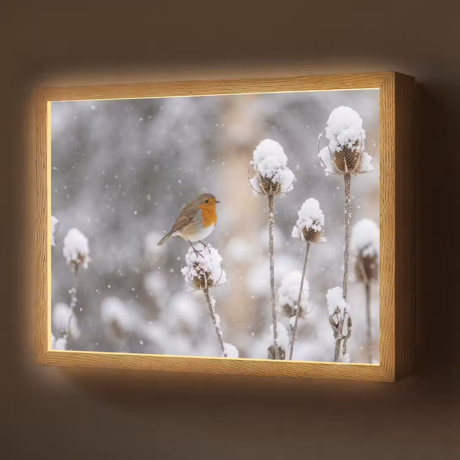 Roodborstje - Gedroogde bloem - Sneeuw - Winter - Vertederend Light Box met batterij (Wandlamp) middel -z3d_website