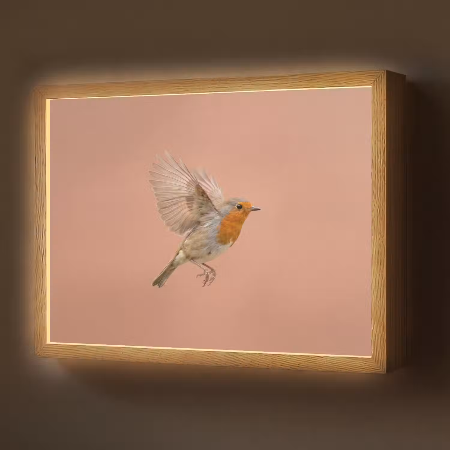 Roodborst - Natuur - Roze Light Box met batterij (Wandlamp) middel -z3d_website