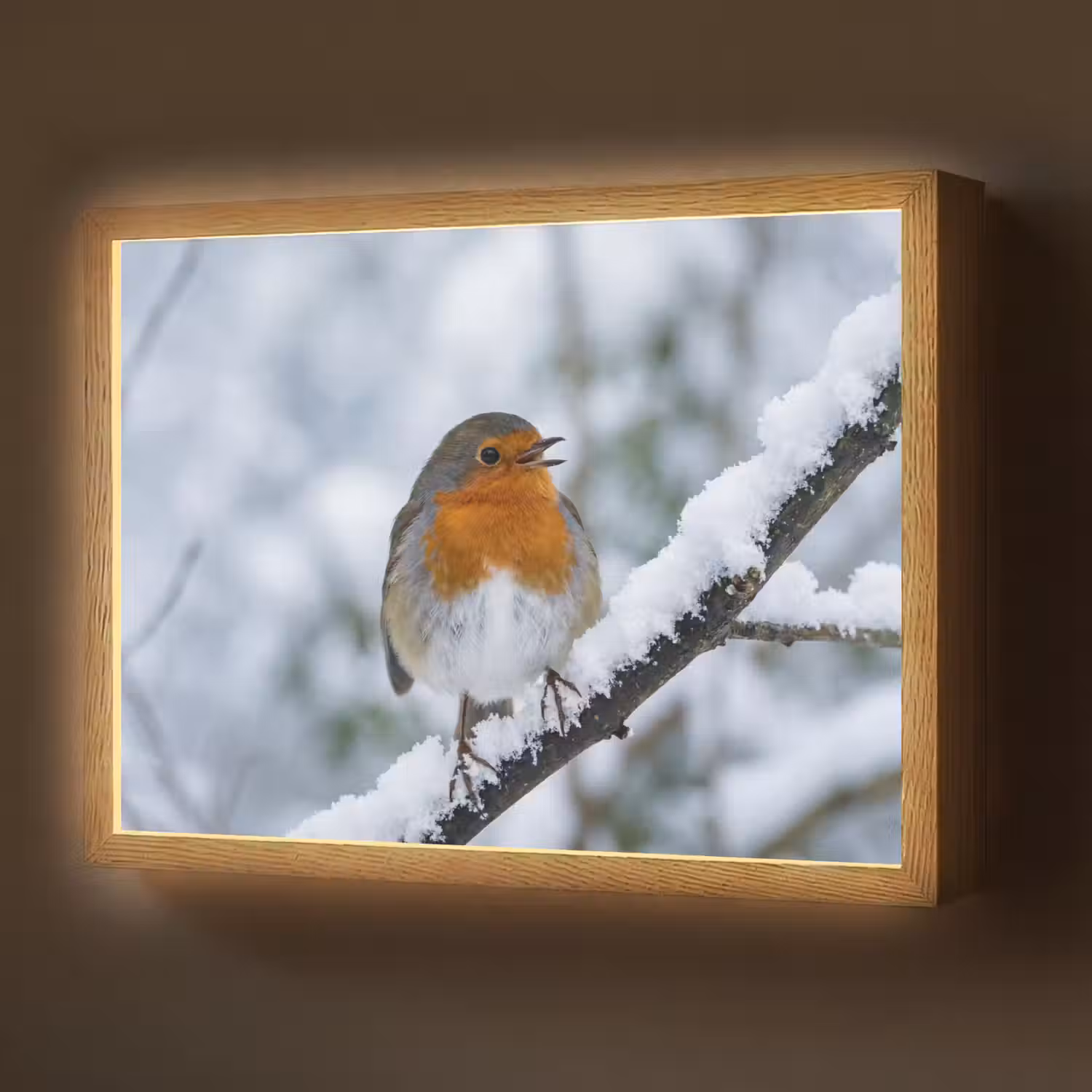 Roodborstje - Tak - Sneeuw - Winter - Levendig Light Box met batterij (Wandlamp) middel -z3d_website