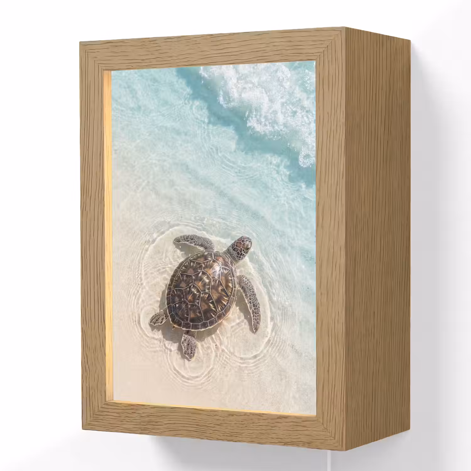 Schildpad - Helder water - Strand - Dieren - Natuur Light Box met kabel (Wandlamp) klein -3d