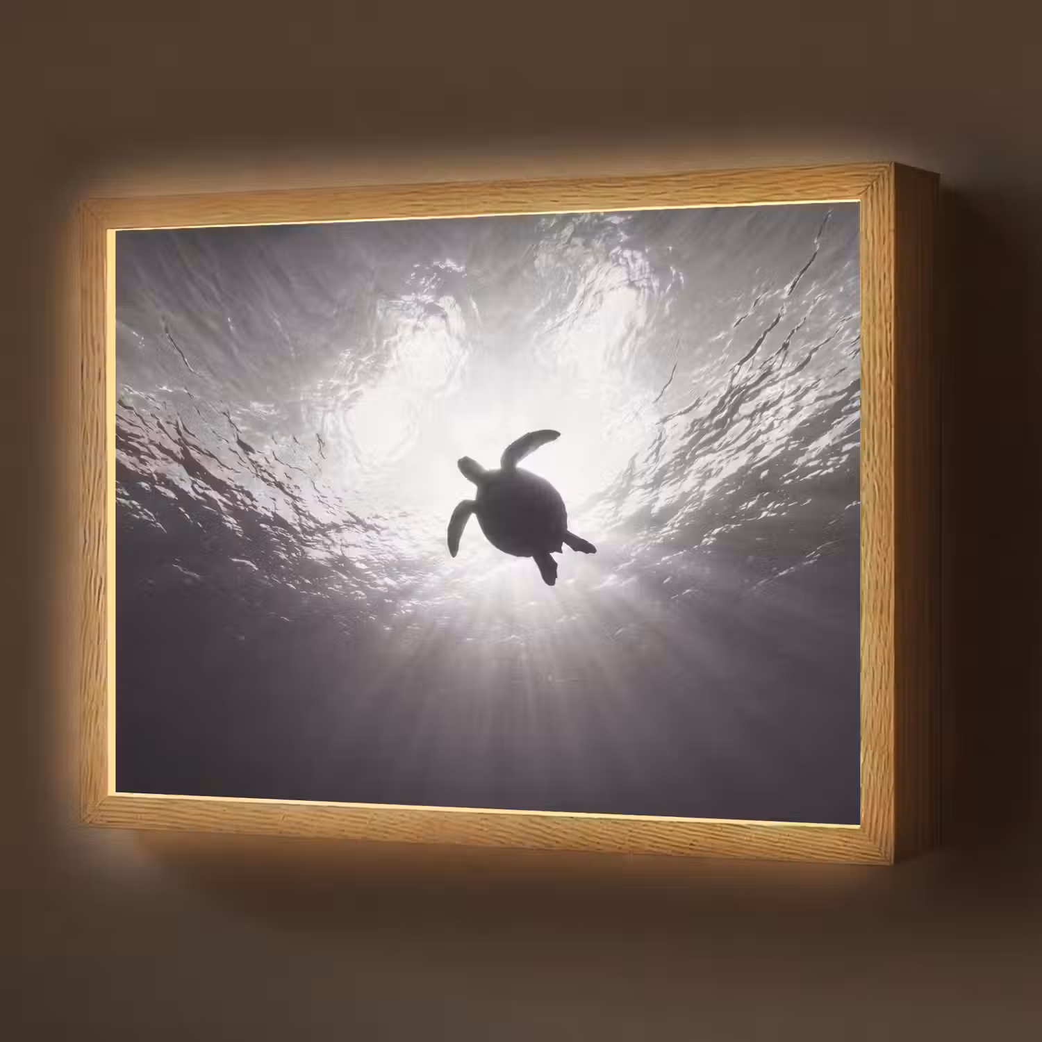 Schildpad - Onderwater - Lichtstralen - Oceaan - Zwart-wit Light Box met batterij (Wandlamp) middel -z3d_website