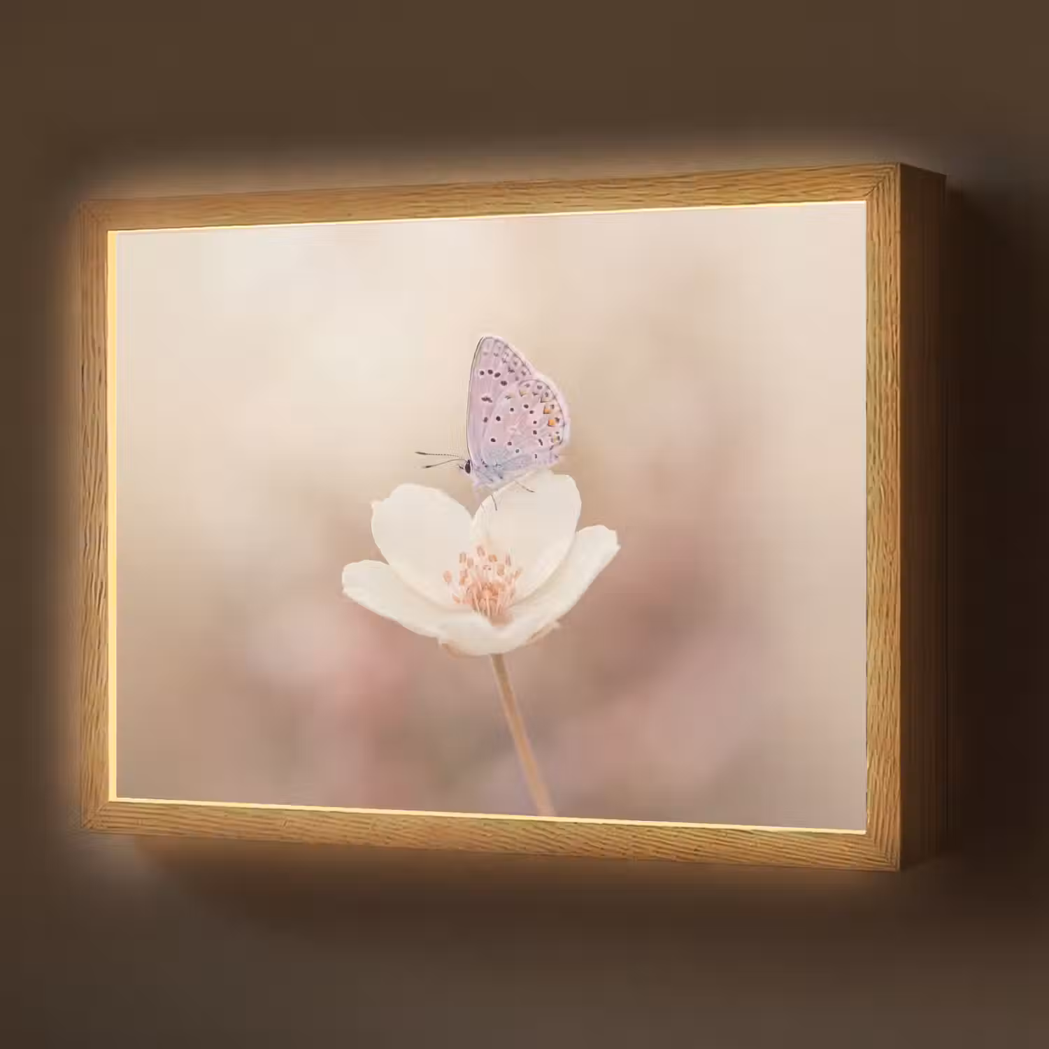 Vlinder - Bloem - Blauw Light Box met batterij (Wandlamp) middel -z3d_website