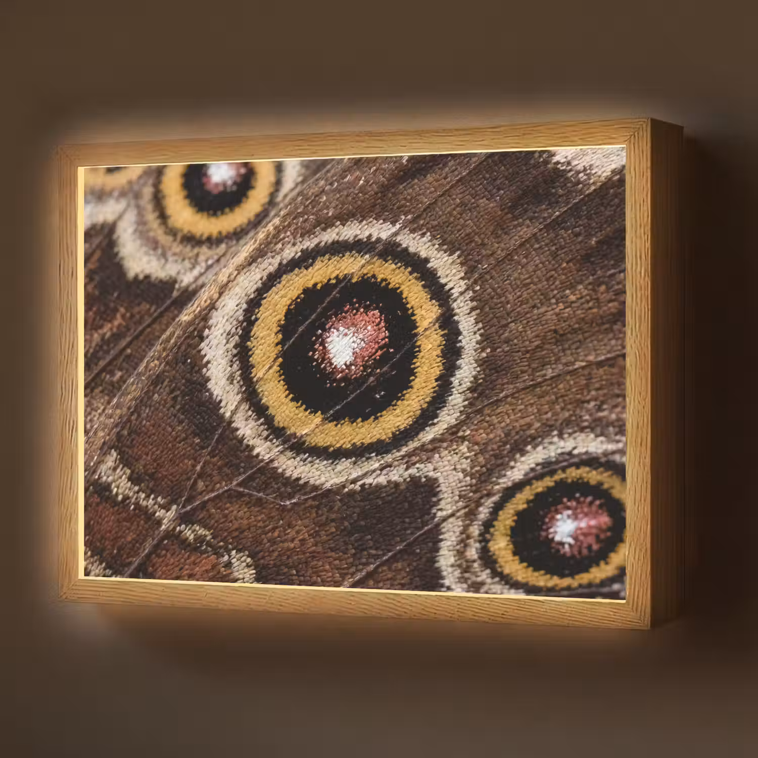 Vlinder - Vleugel - Abstract Light Box met batterij (Wandlamp) middel -z3d_website