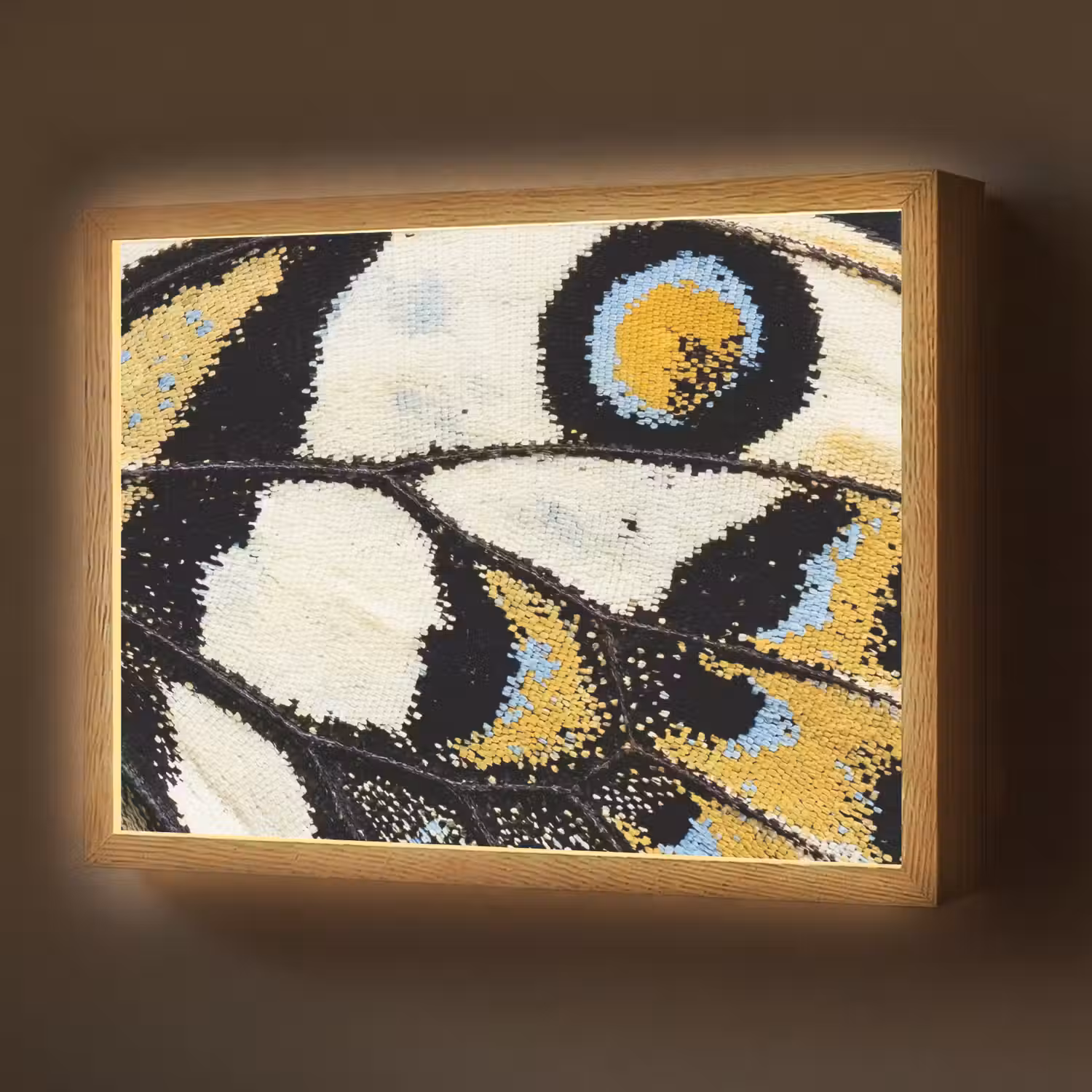 Vlinder - Vleugel - Geel Light Box met batterij (Wandlamp) middel -z3d_website