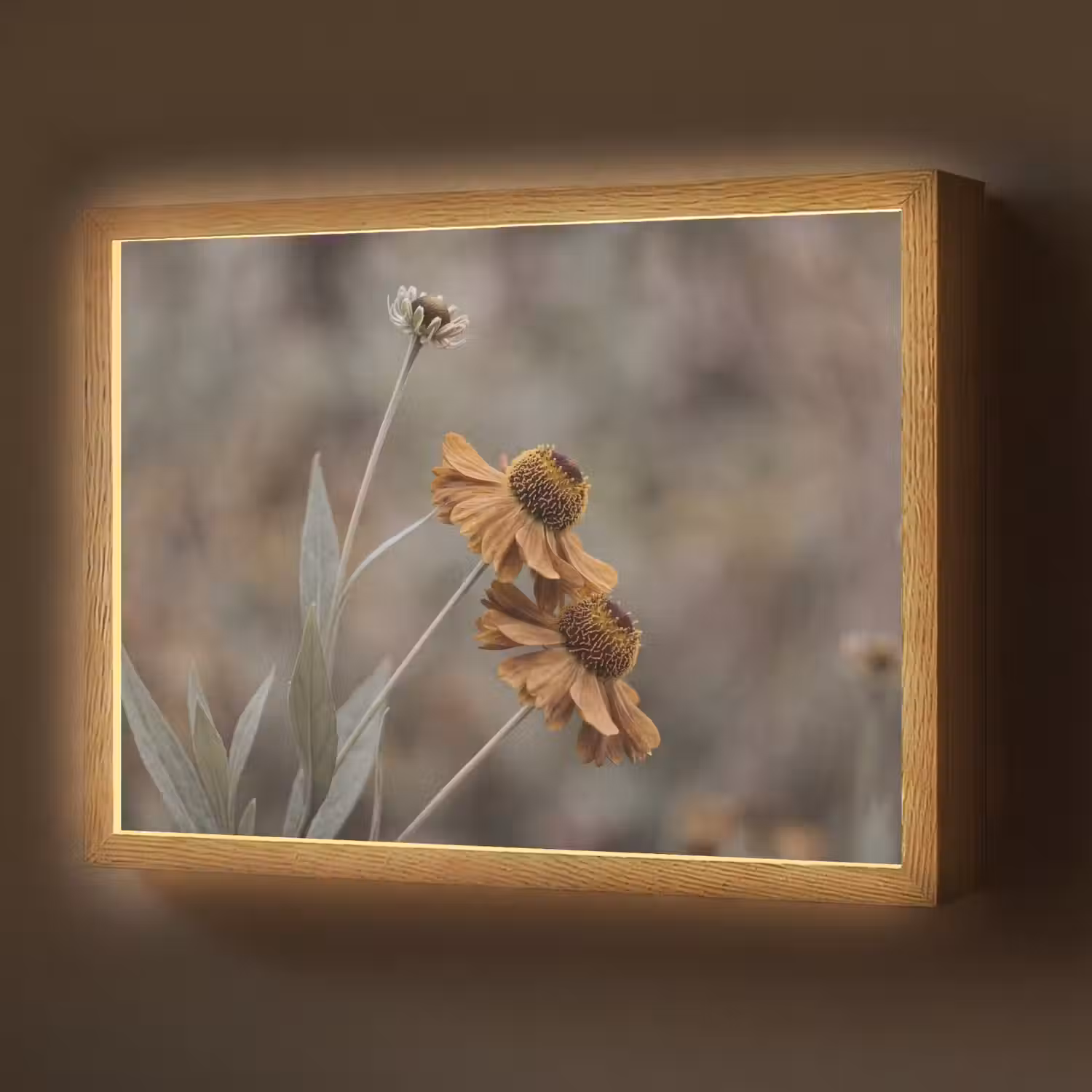Zonnehoed - Droogbloemen - Geel - Warm Light Box met batterij (Wandlamp) middel -z3d_website
